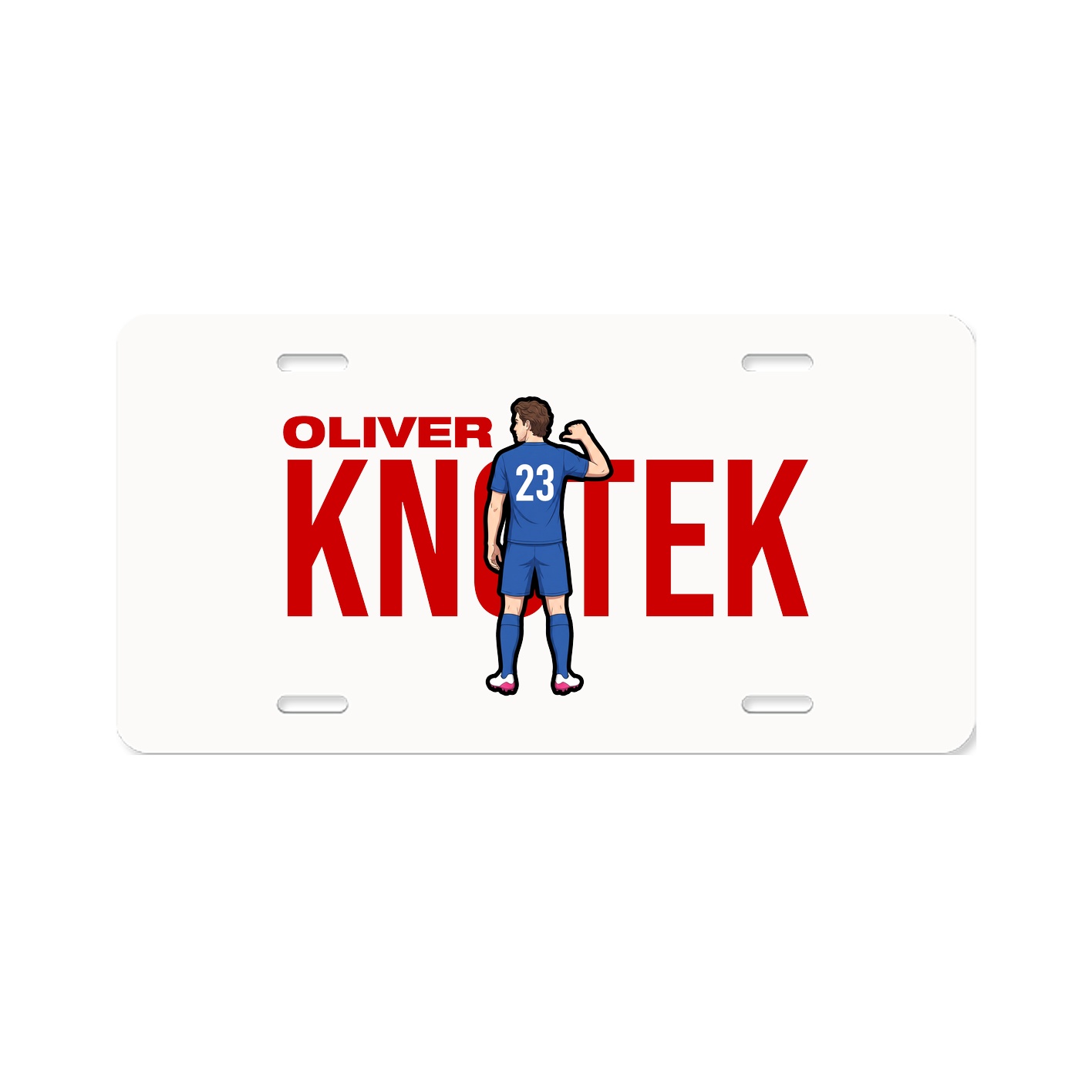 License Plate