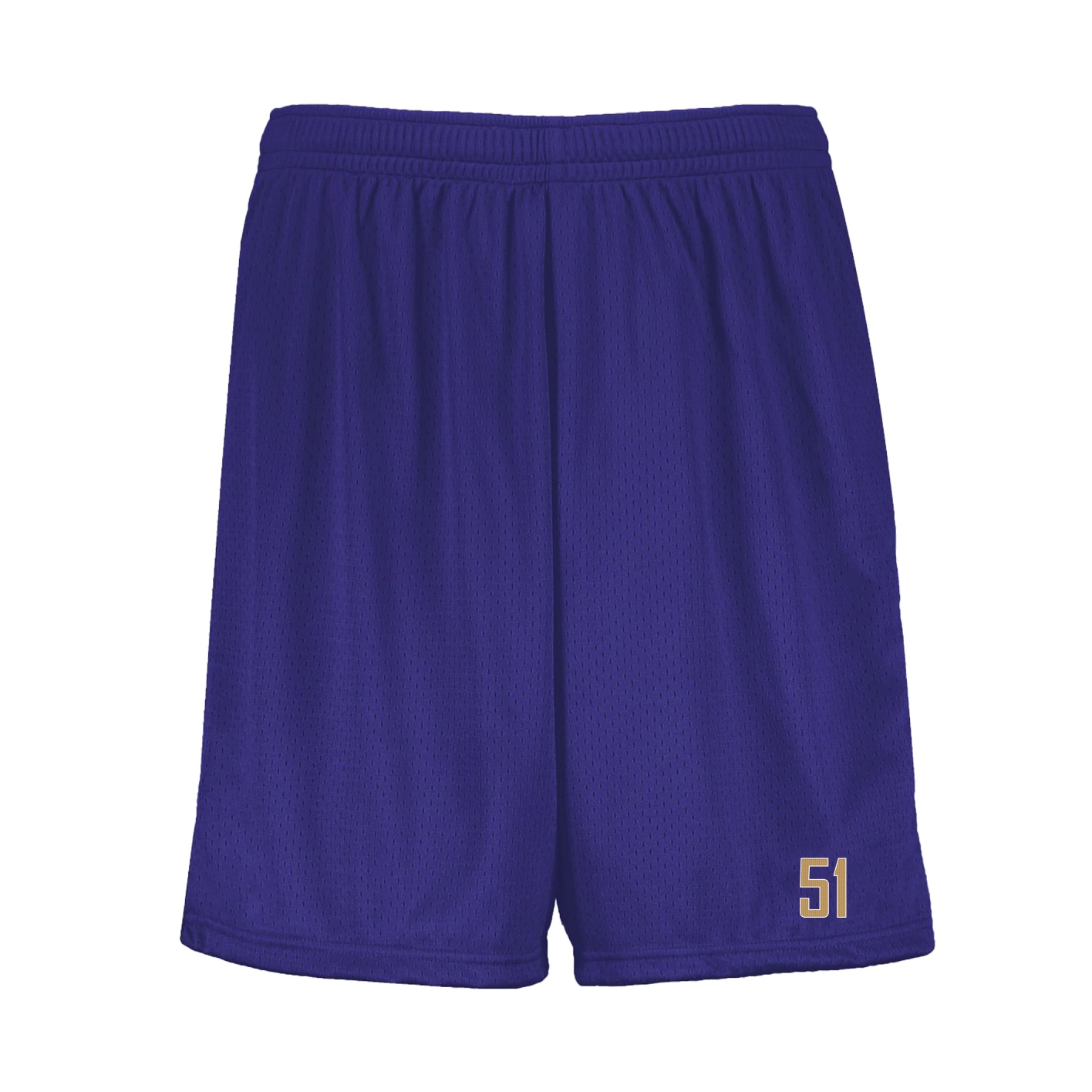Shorts — Front Shirsy in Purple
