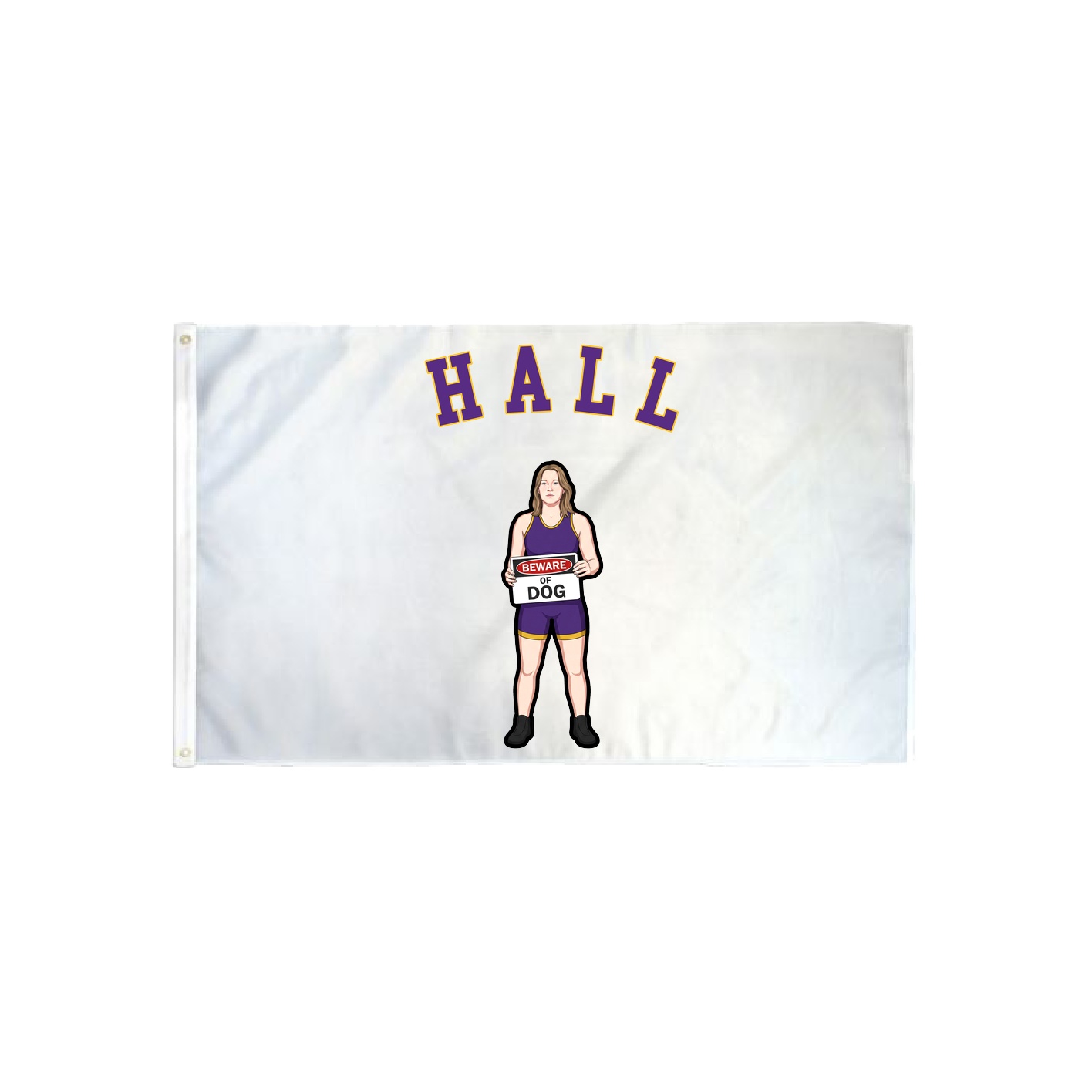 3x5 Flag — Shirsey Arch in Classic