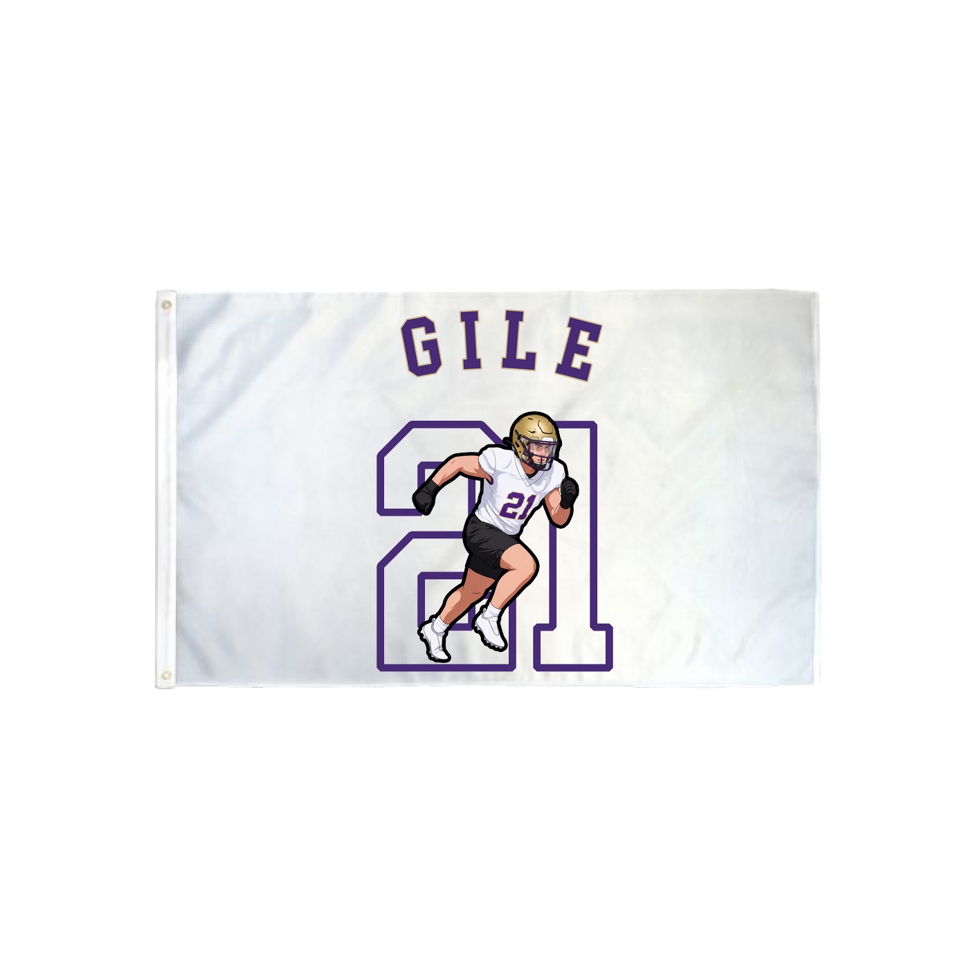 3x5 Flag — Shirsey Arch in Classic