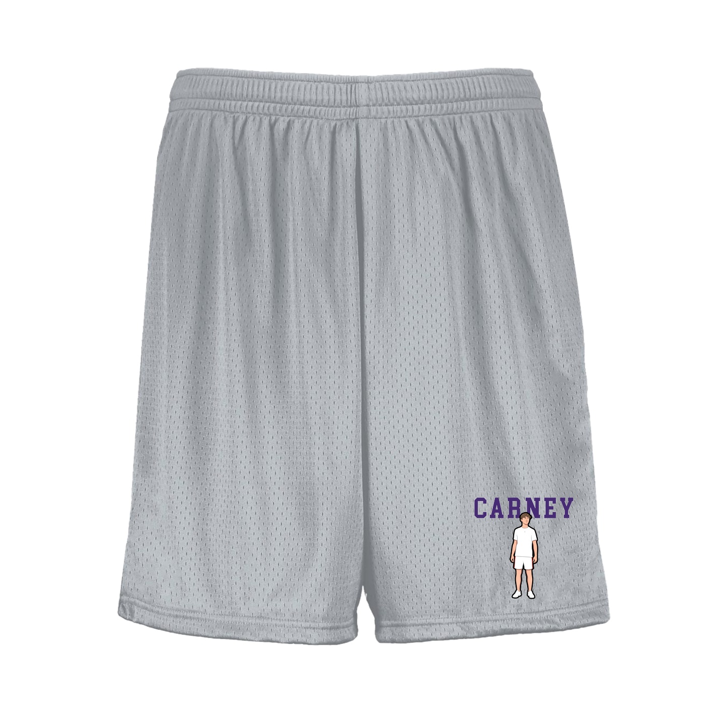 Shorts — Shirsey in Silver