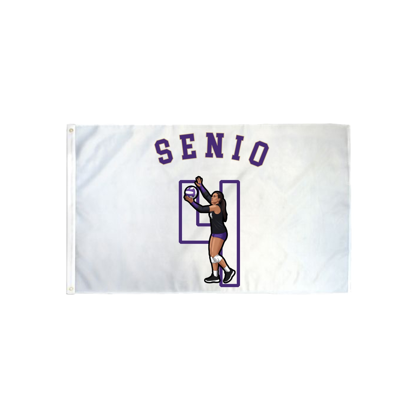 3x5 Flag — Shirsey Arch in Classic