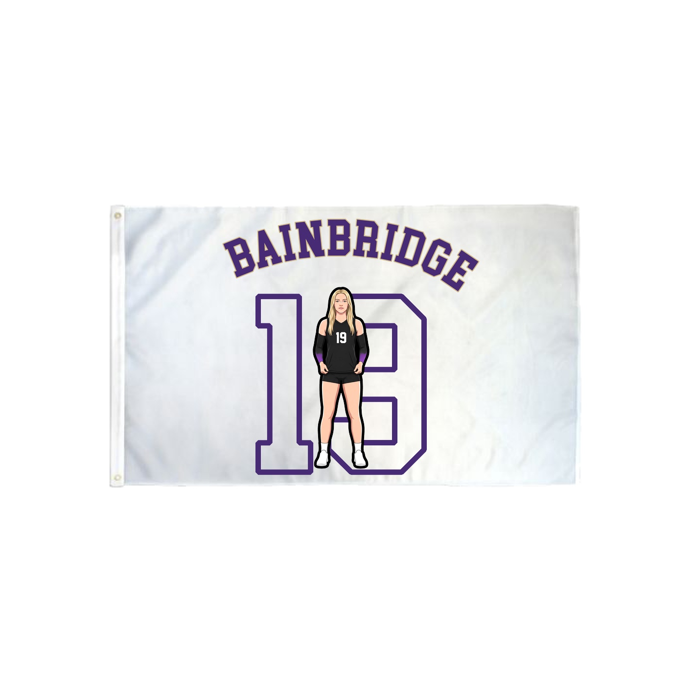 3x5 Flag — Shirsey Arch in Classic