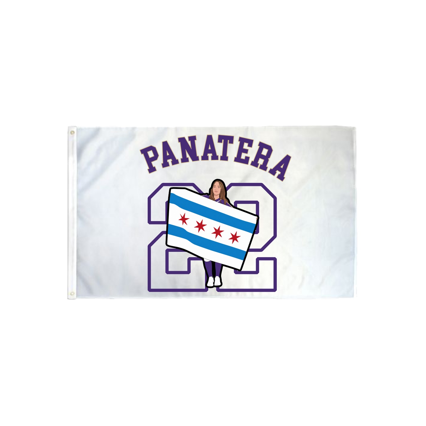 3x5 Flag — Shirsey Arch in Classic