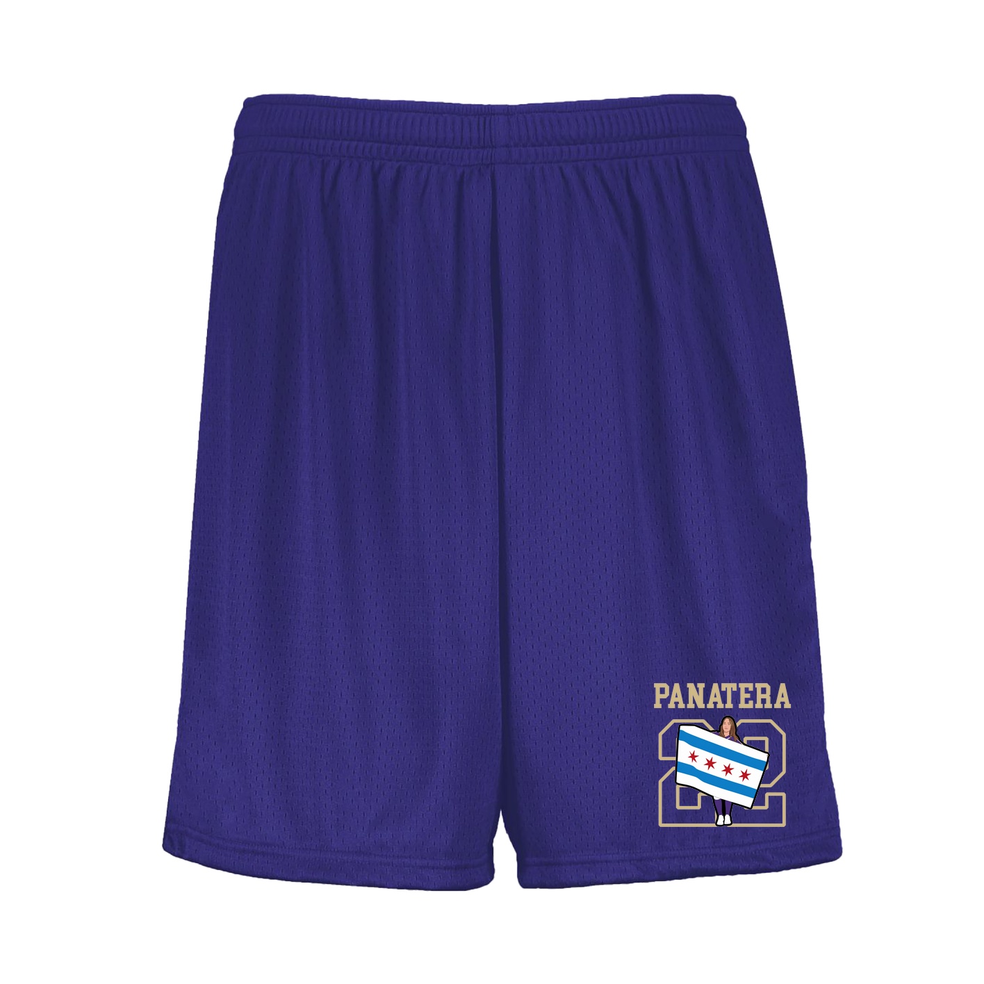 Shorts — Shirsey in Purple