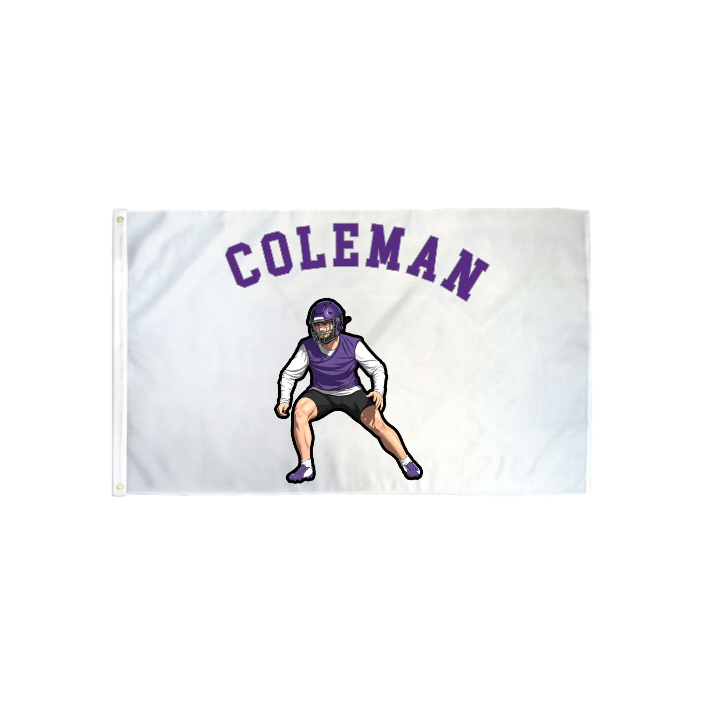 3x5 Flag — Shirsey Arch in Classic