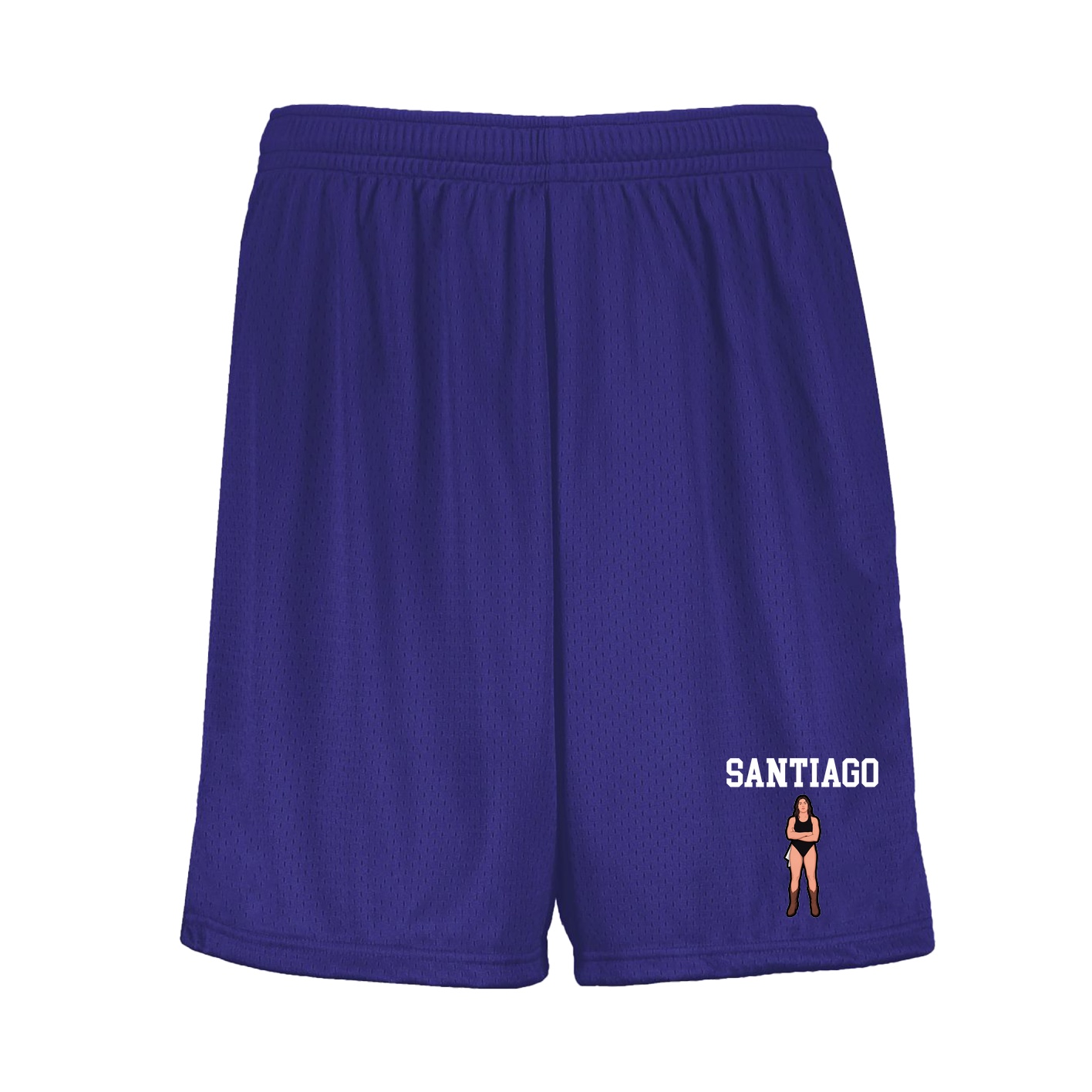Shorts — Shirsey in Purple