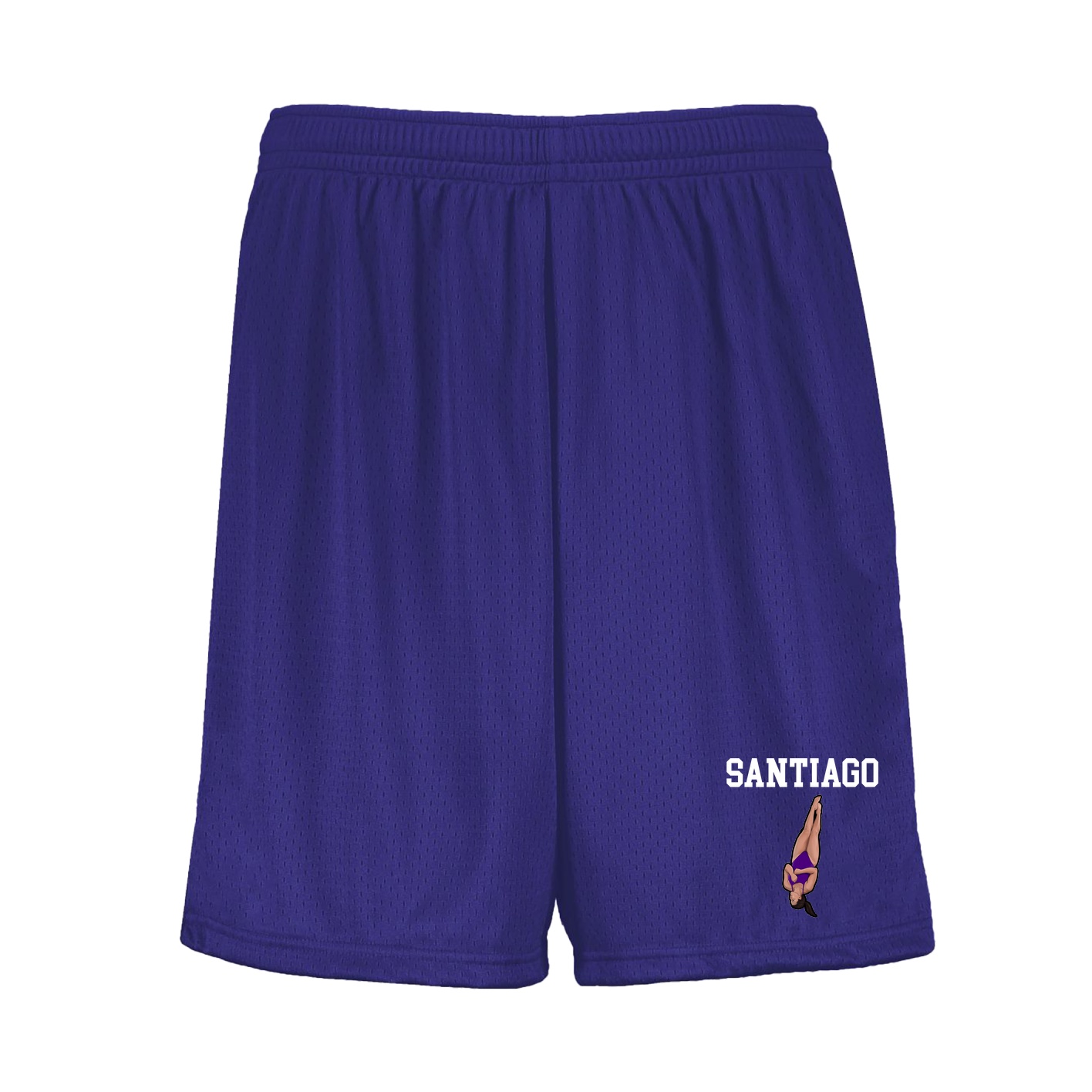Shorts — Shirsey in Purple
