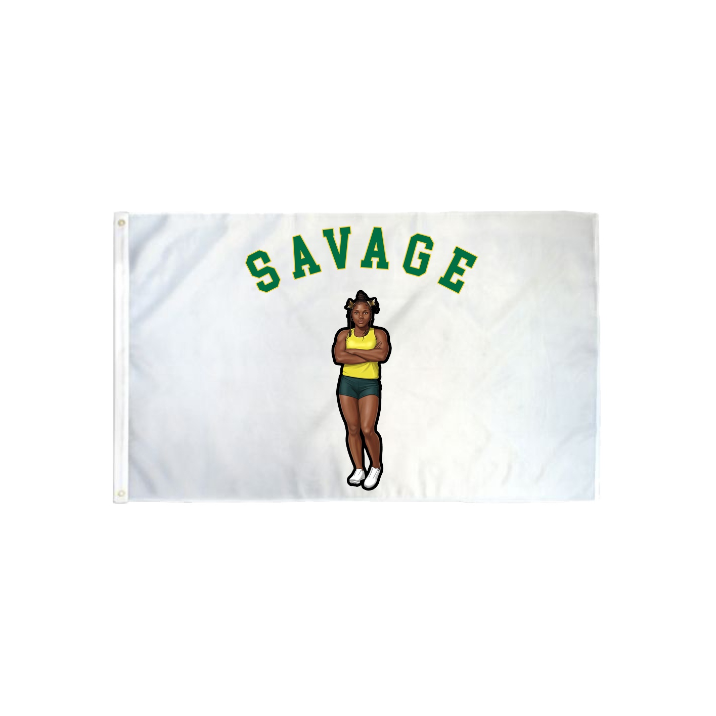 3x5 Flag — Shirsey Arch in Classic