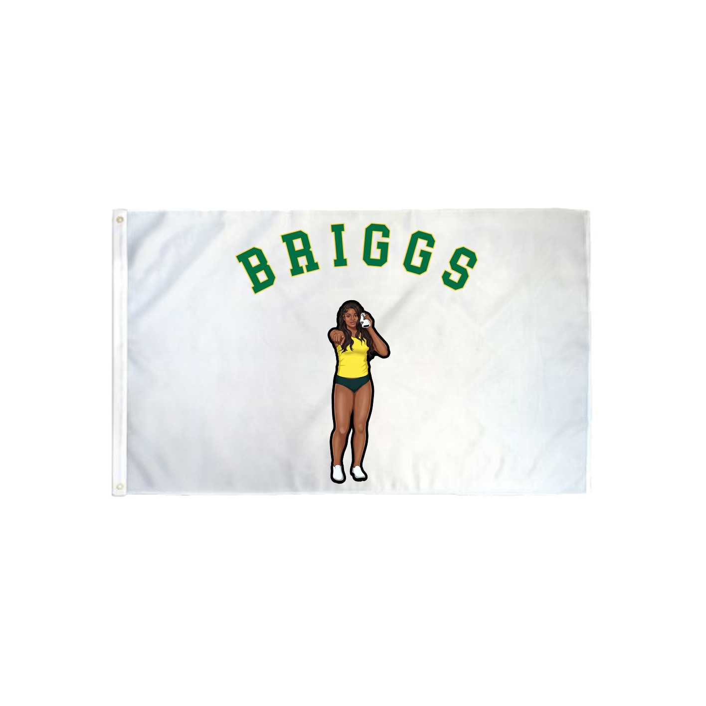 3x5 Flag — Shirsey Arch in Classic