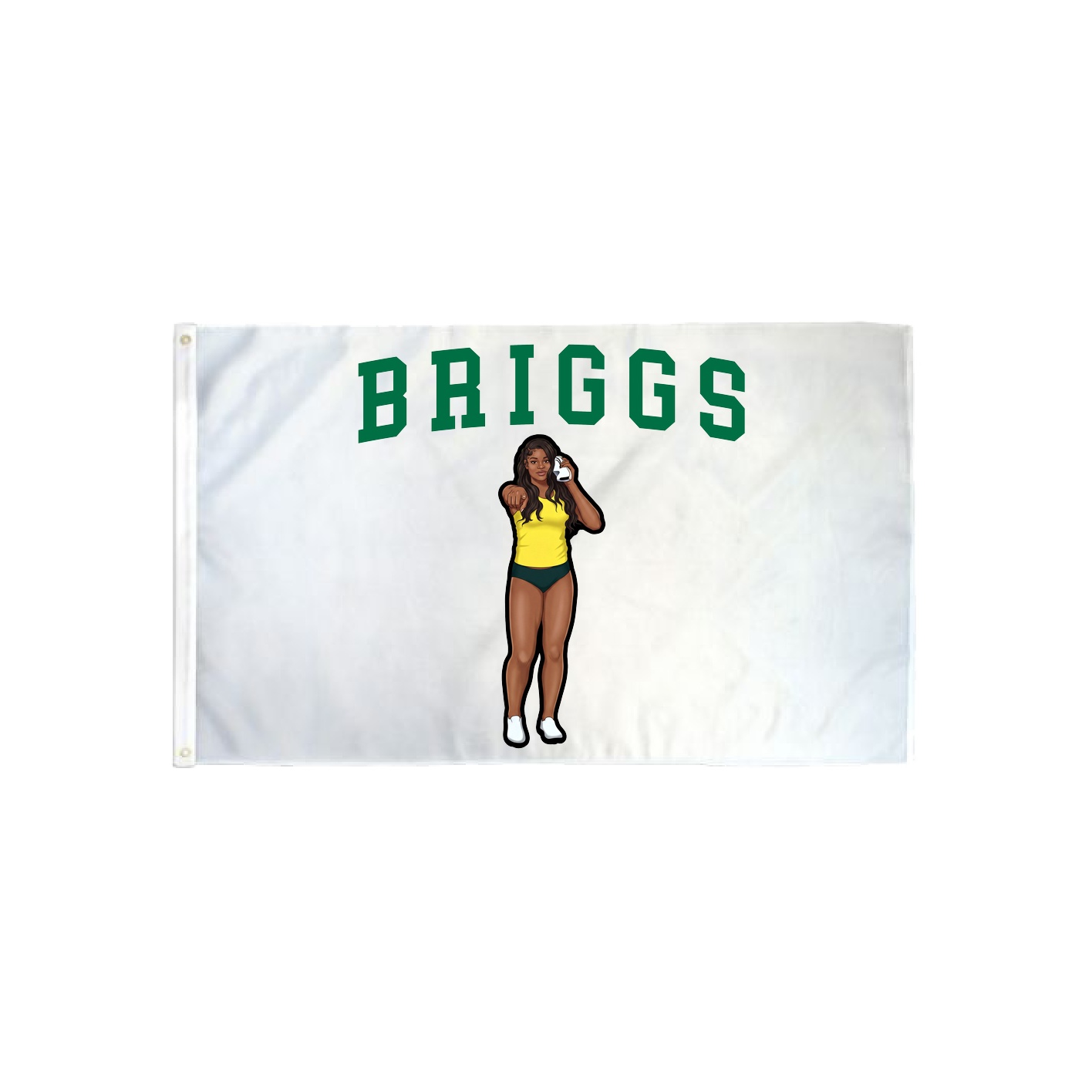 3x5 Flag — Shirsey in Classic