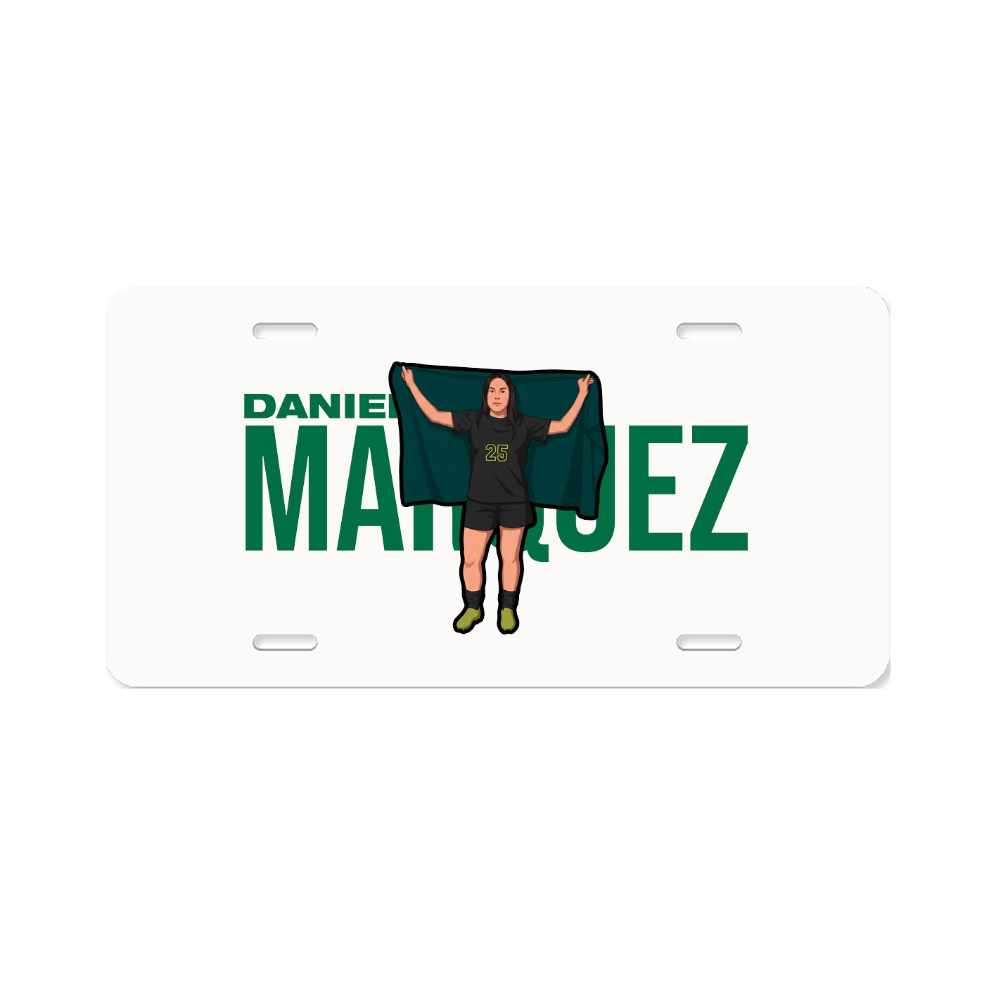 License Plate
