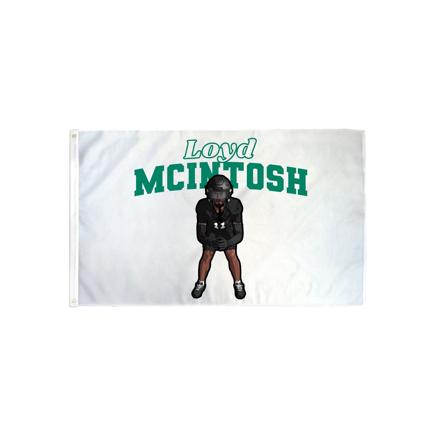 3x5 Flag — Name Arch in Classic