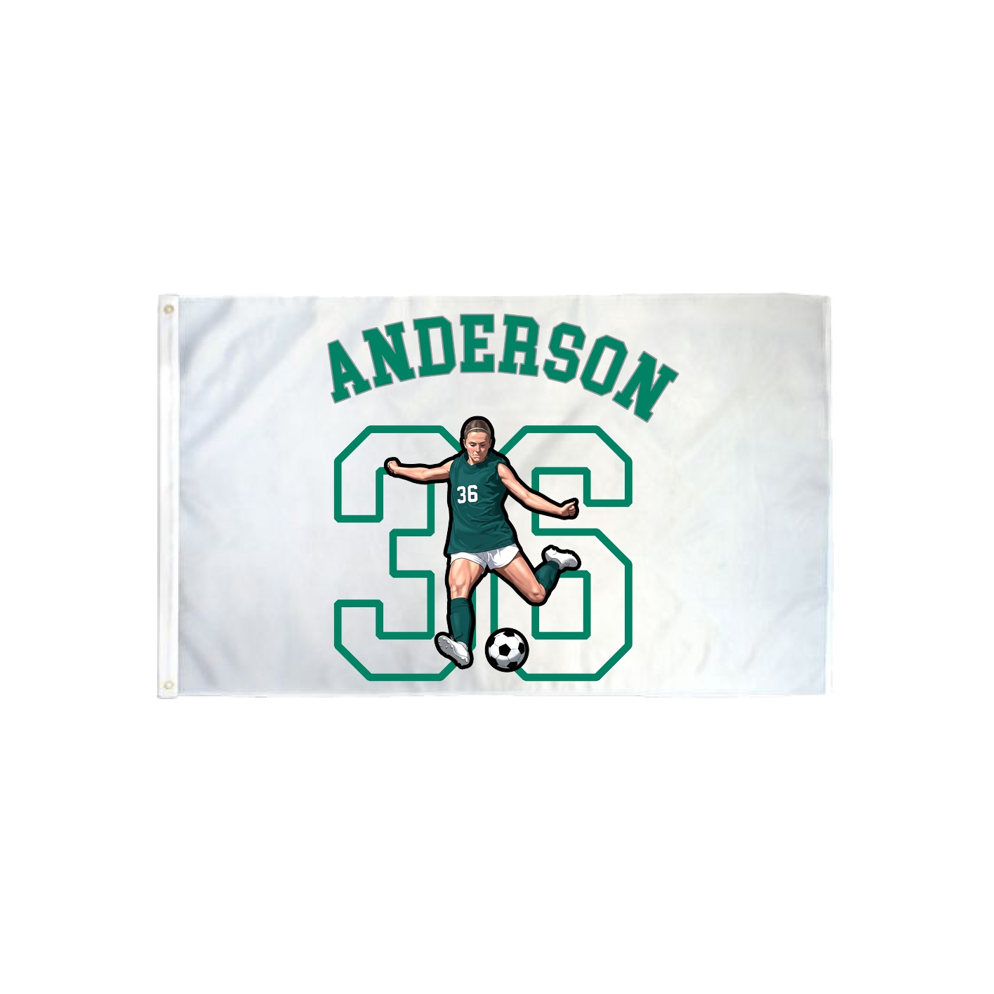 3x5 Flag — Shirsey Arch in Classic