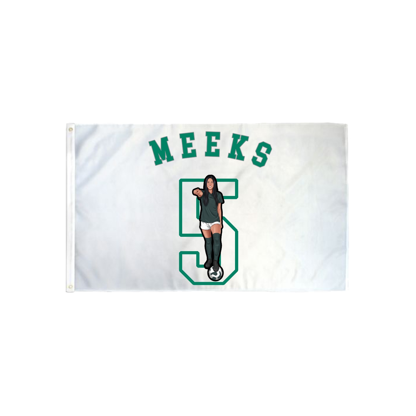 3x5 Flag — Shirsey Arch in Classic