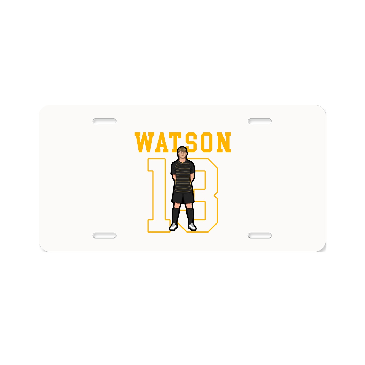 License Plate