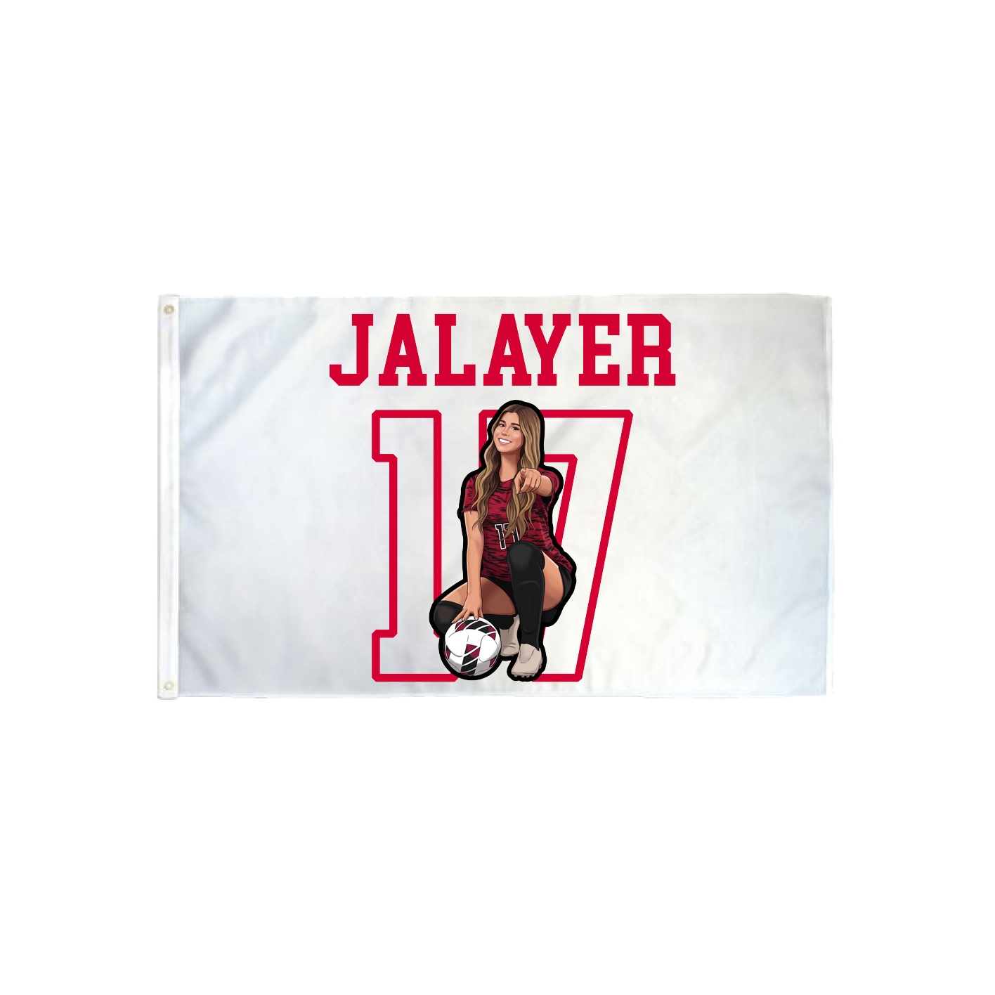 3x5 Flag — Shirsey in Classic