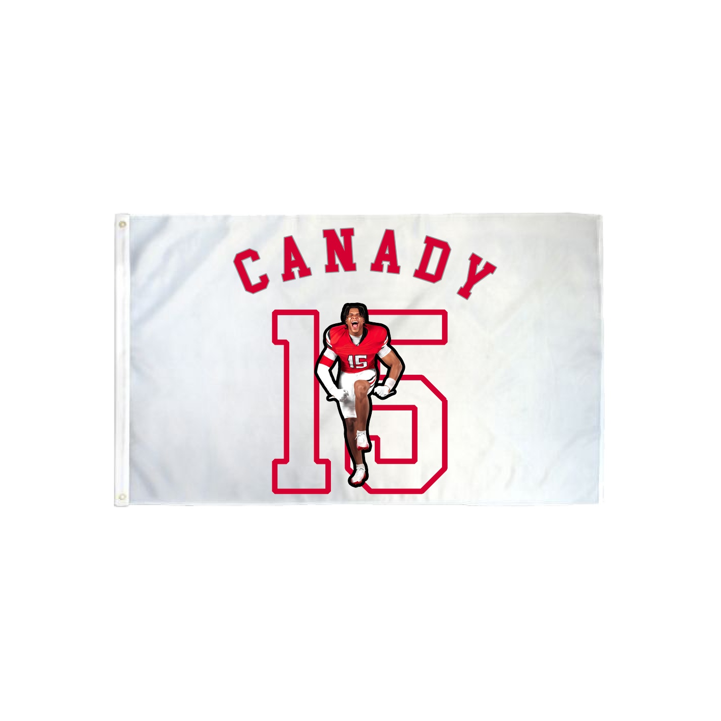3x5 Flag — Shirsey Arch in Classic