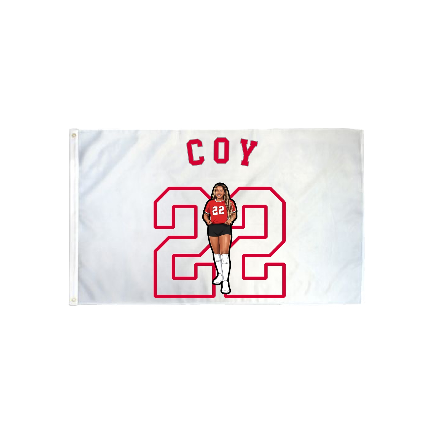 3x5 Flag — Shirsey Arch in Classic