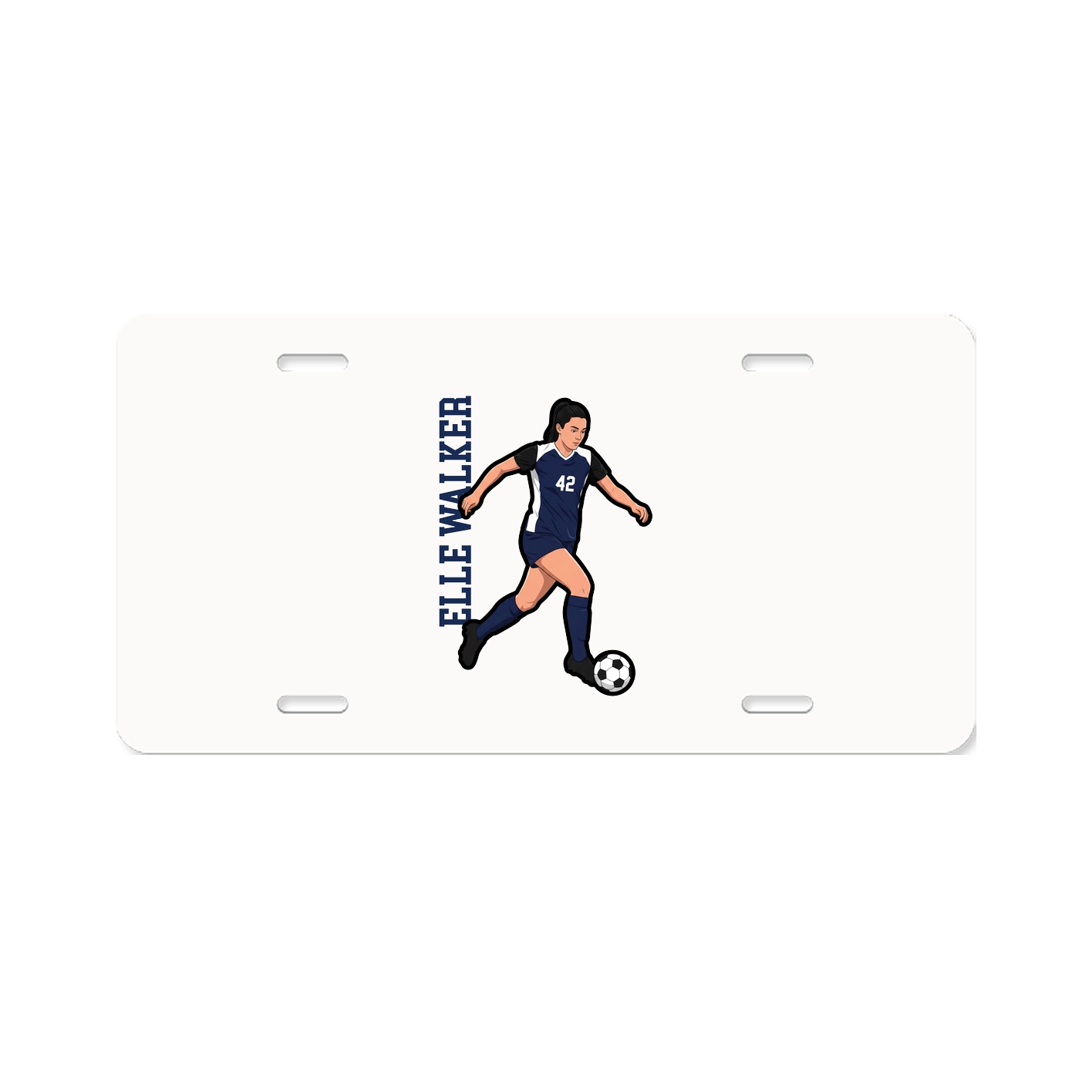 Aluminum License Plate