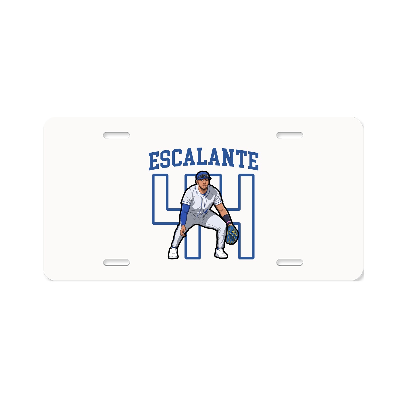 Aluminum License Plate