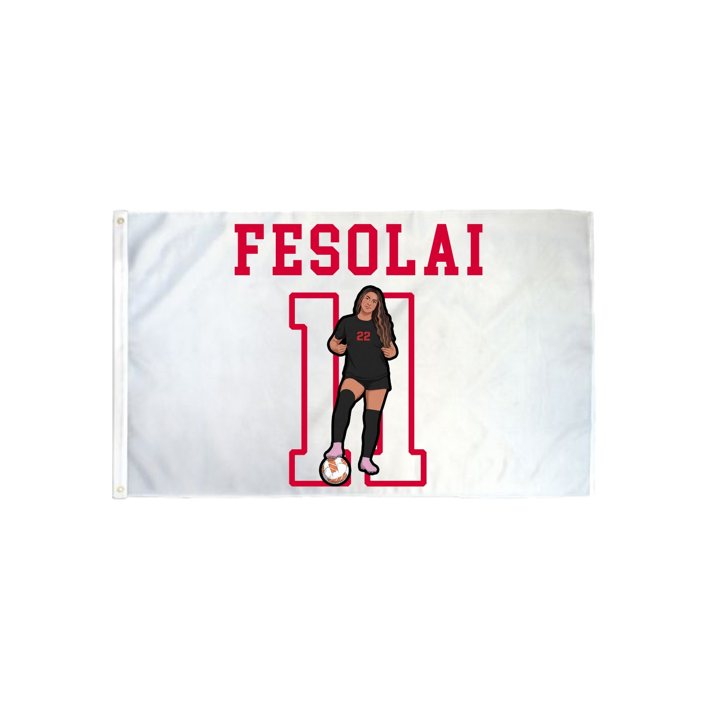 3x5 Flag — Shirsey in Classic