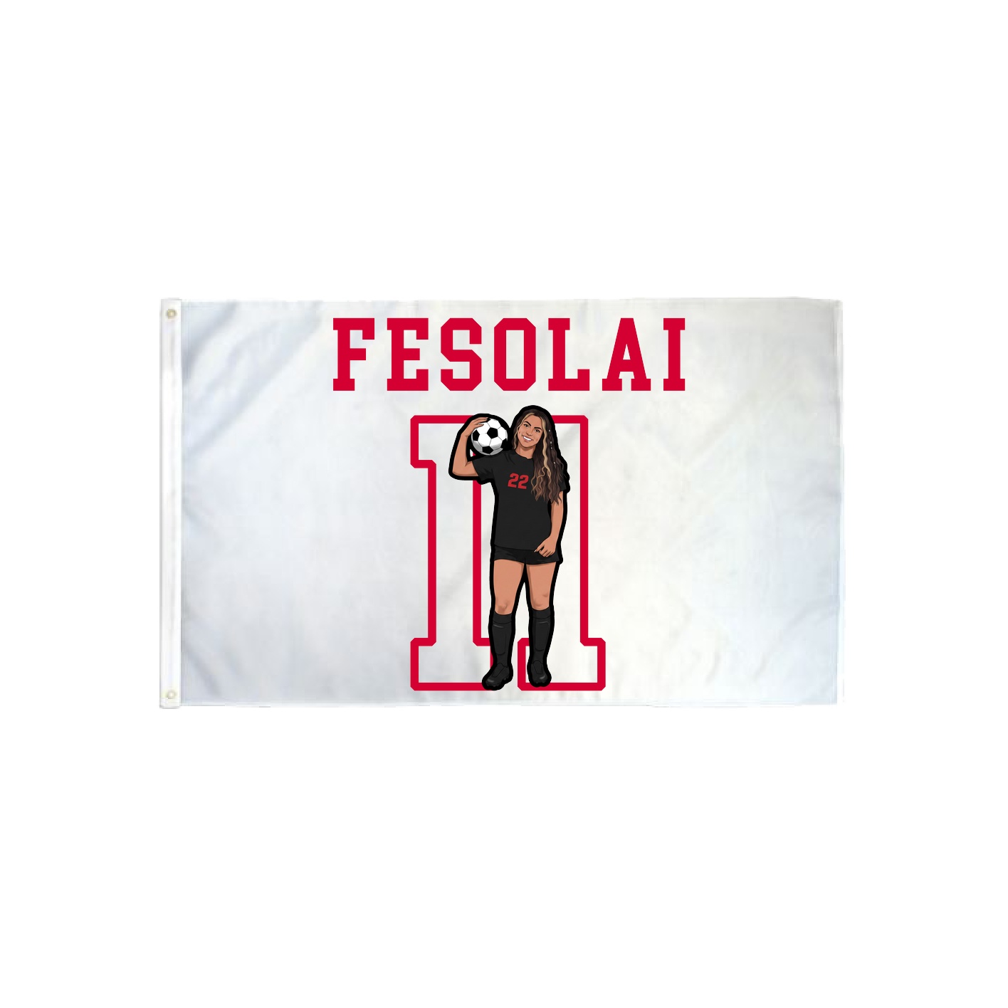 3x5 Flag — Shirsey in Classic
