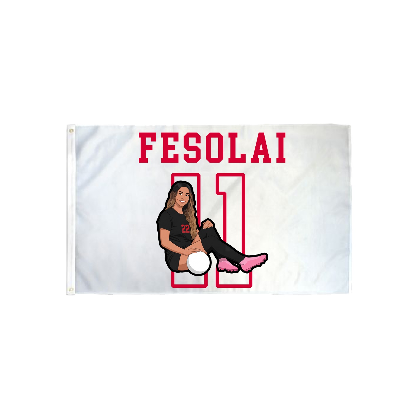 3x5 Flag — Shirsey in Classic