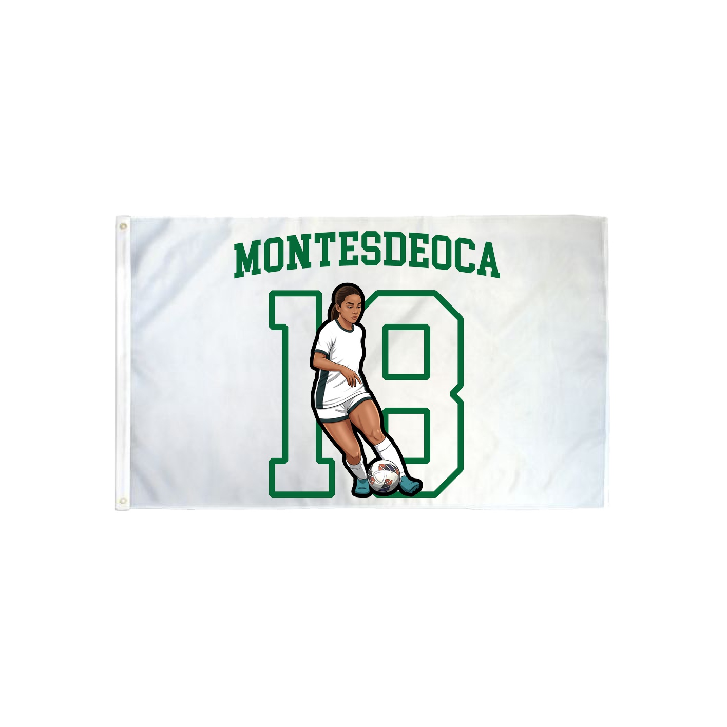 3x5 Flag — Shirsey in Classic