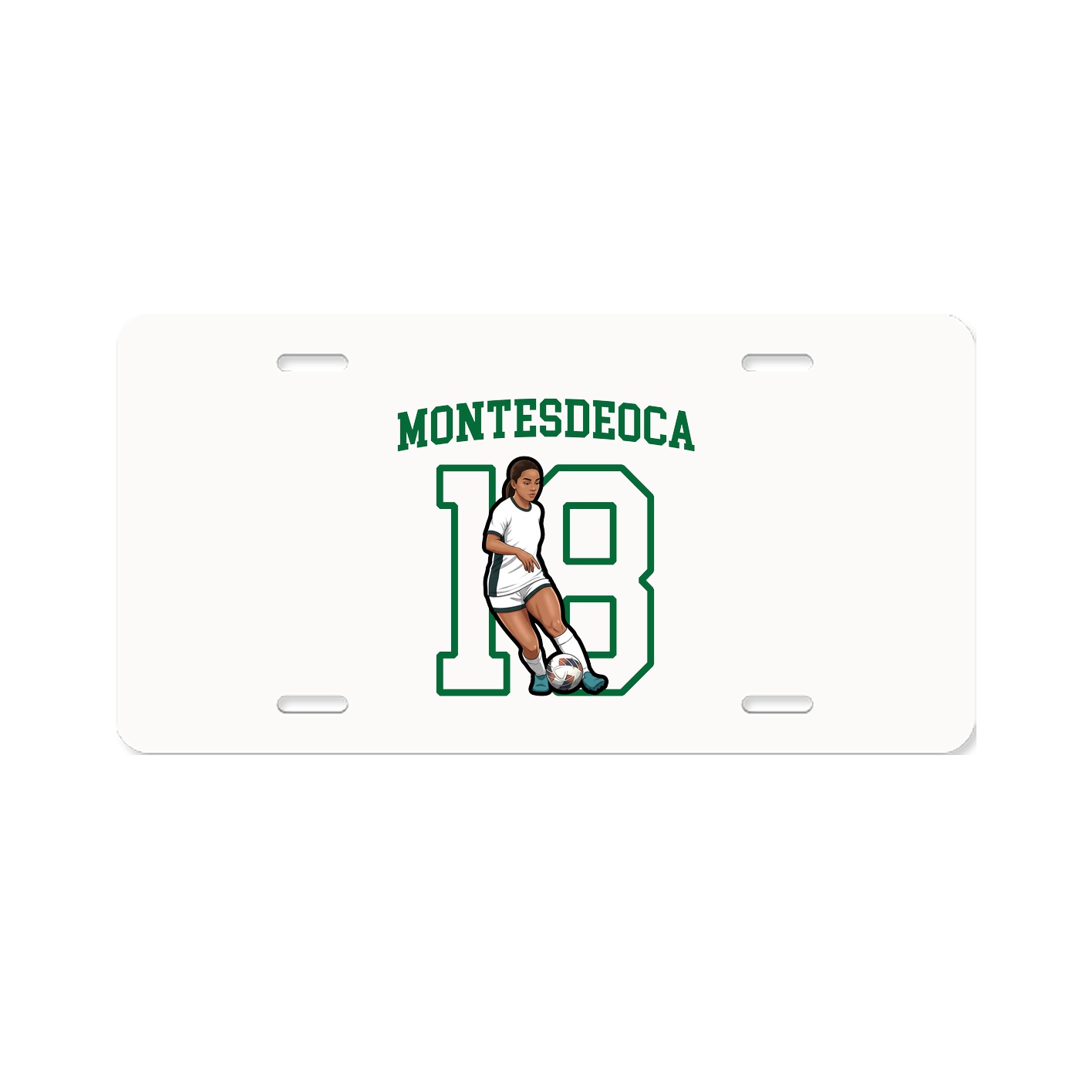 Aluminum License Plate