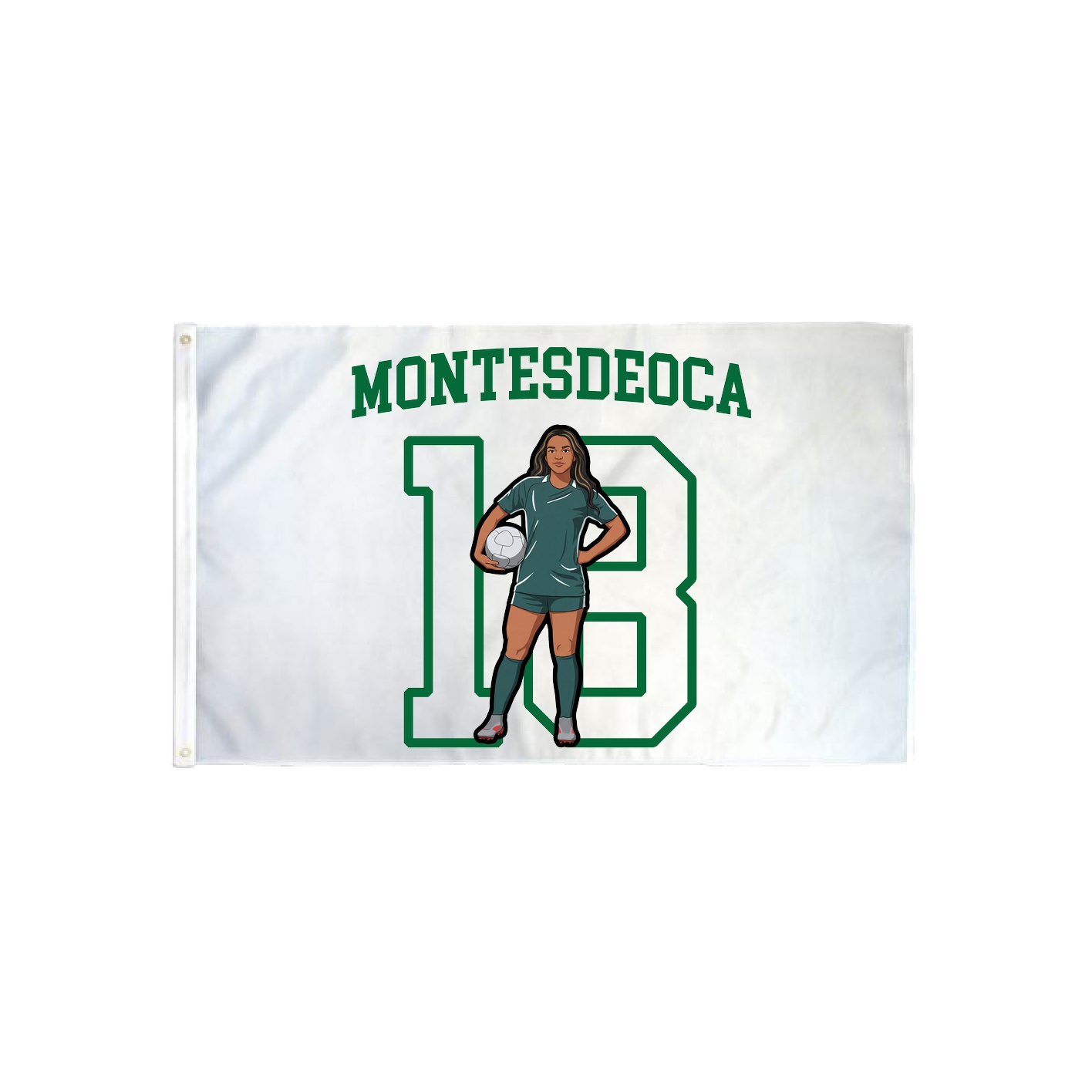 3x5 Flag — Shirsey in Classic