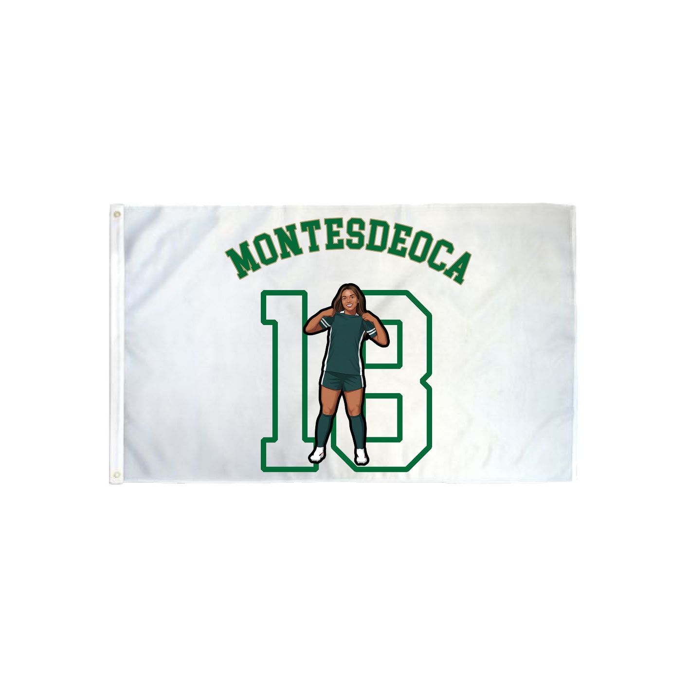 3x5 Flag — Shirsey Arch in Classic