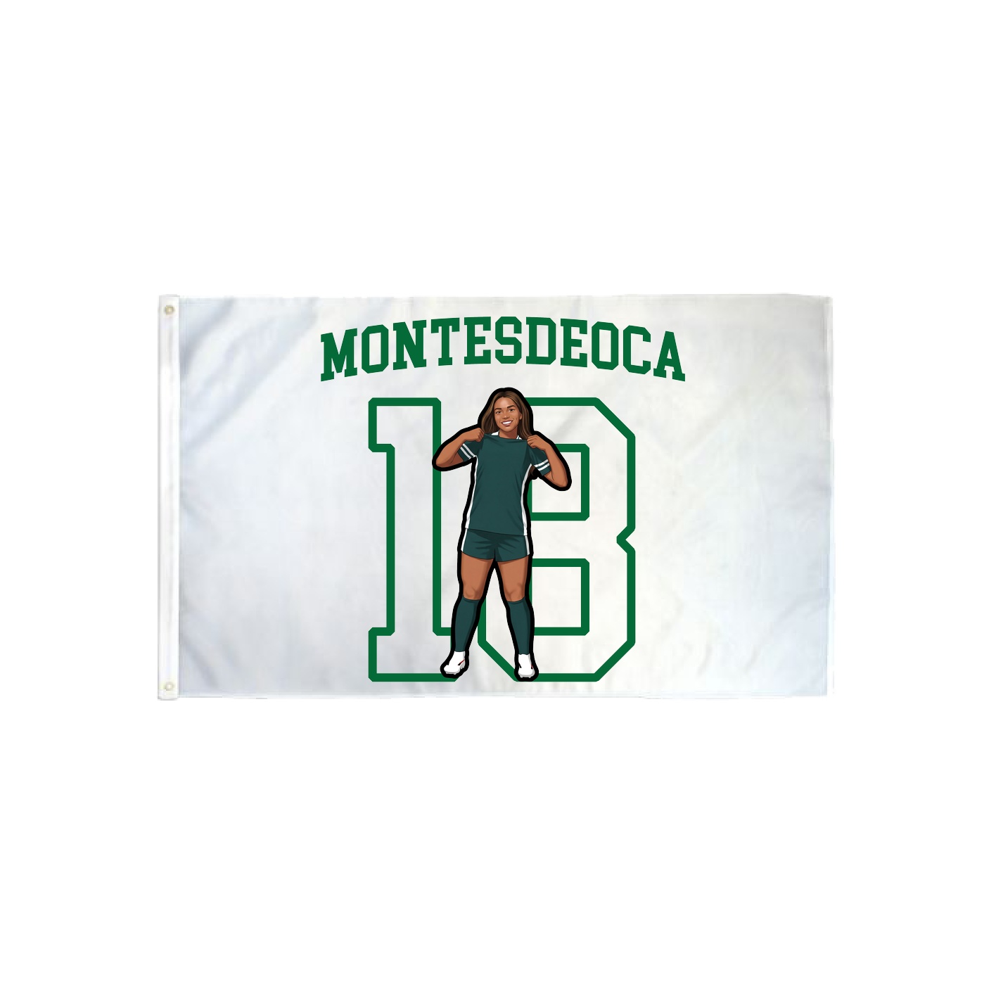 3x5 Flag — Shirsey in Classic