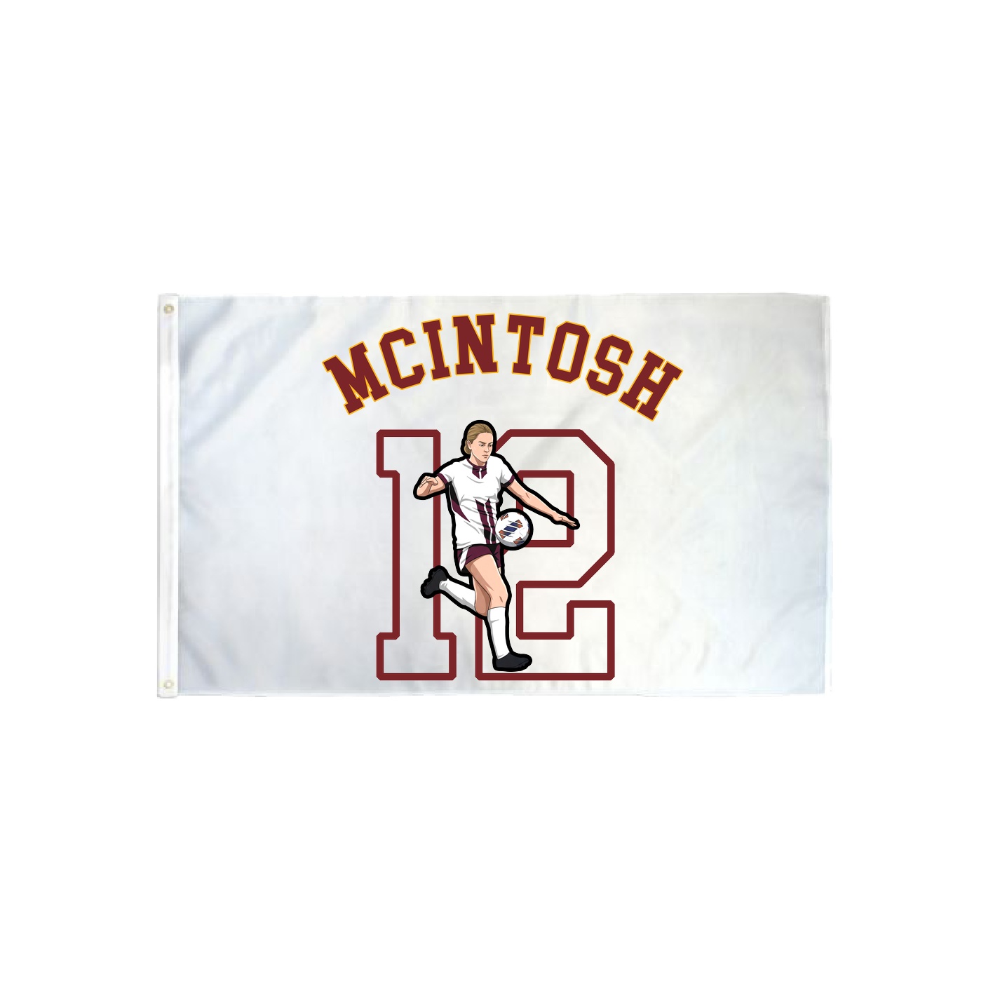 3x5 Flag — Shirsey Arch in Classic