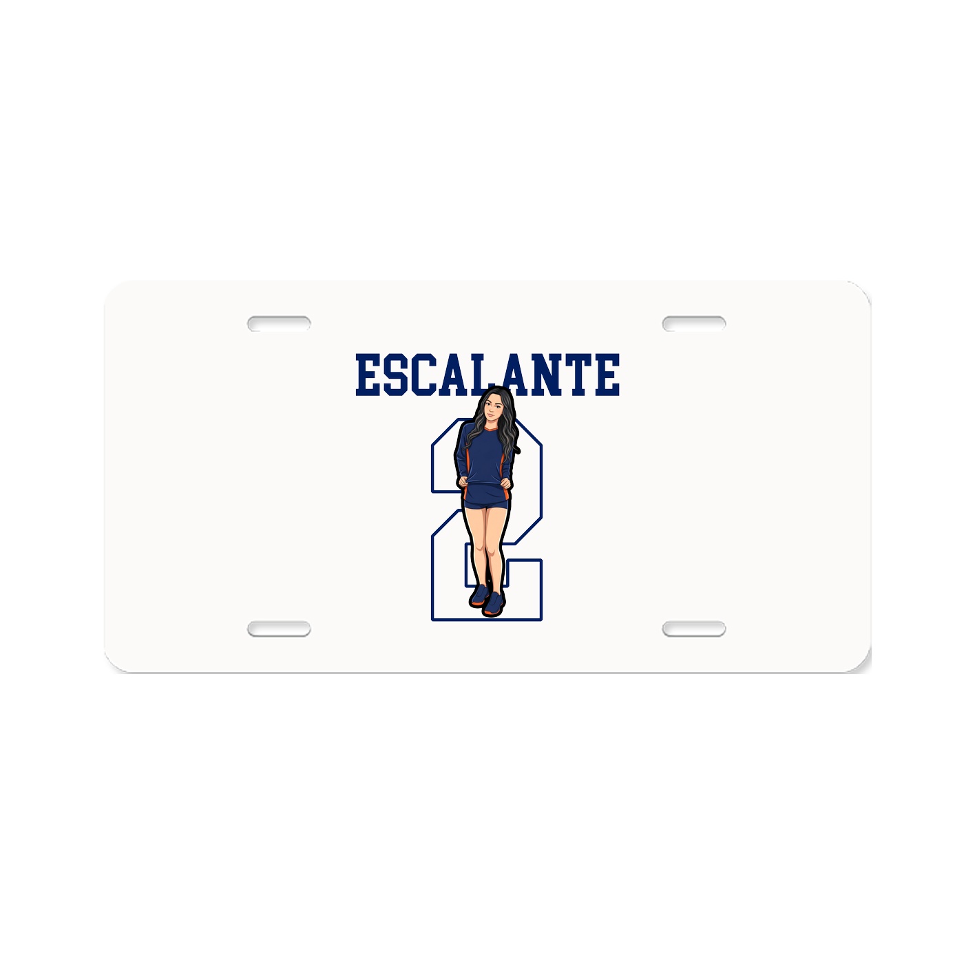 Aluminum License Plate