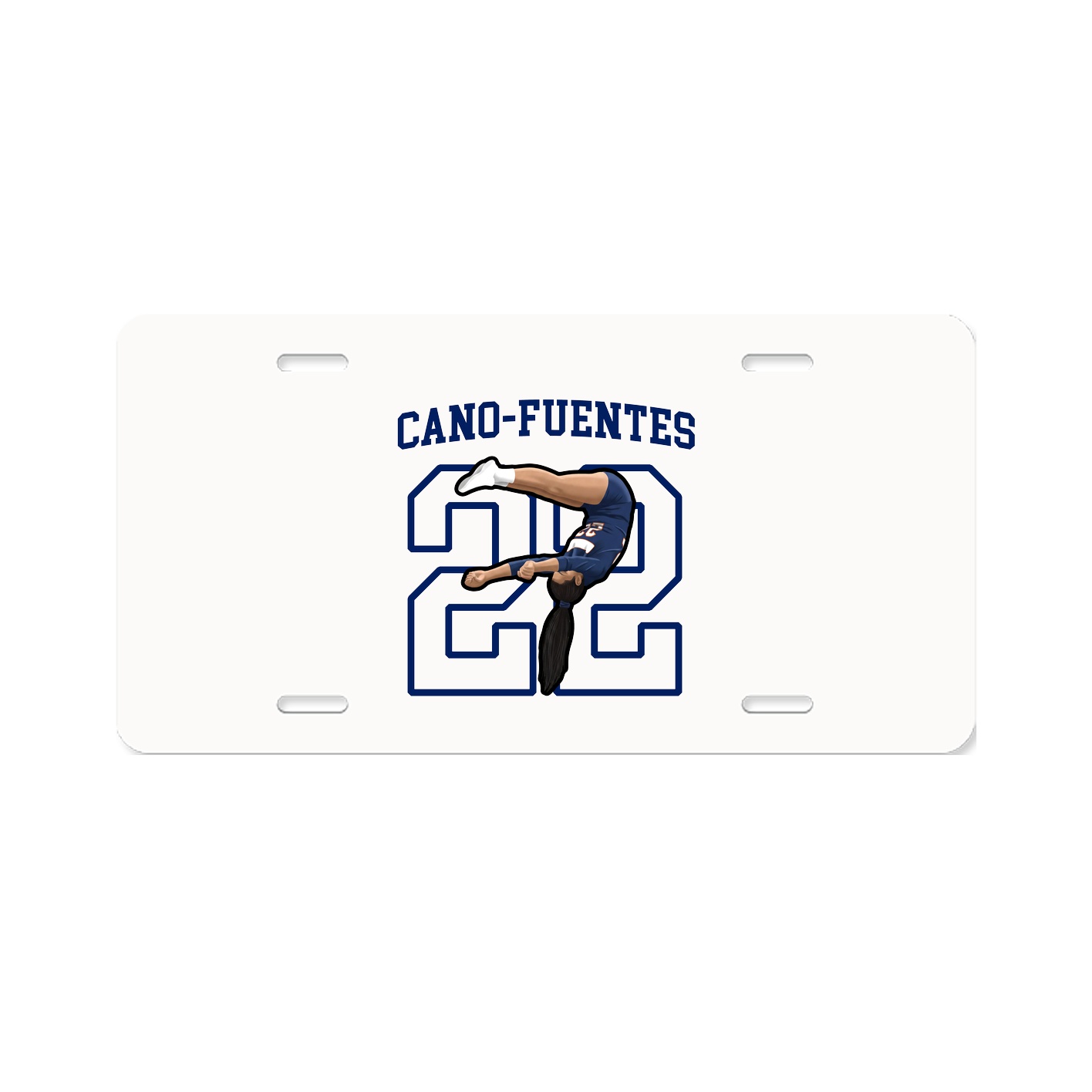Aluminum License Plate