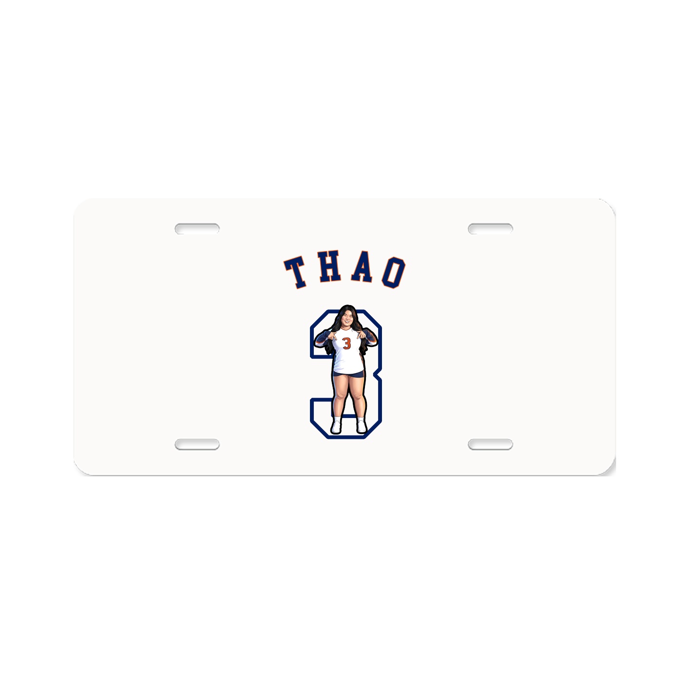 Aluminum License Plate