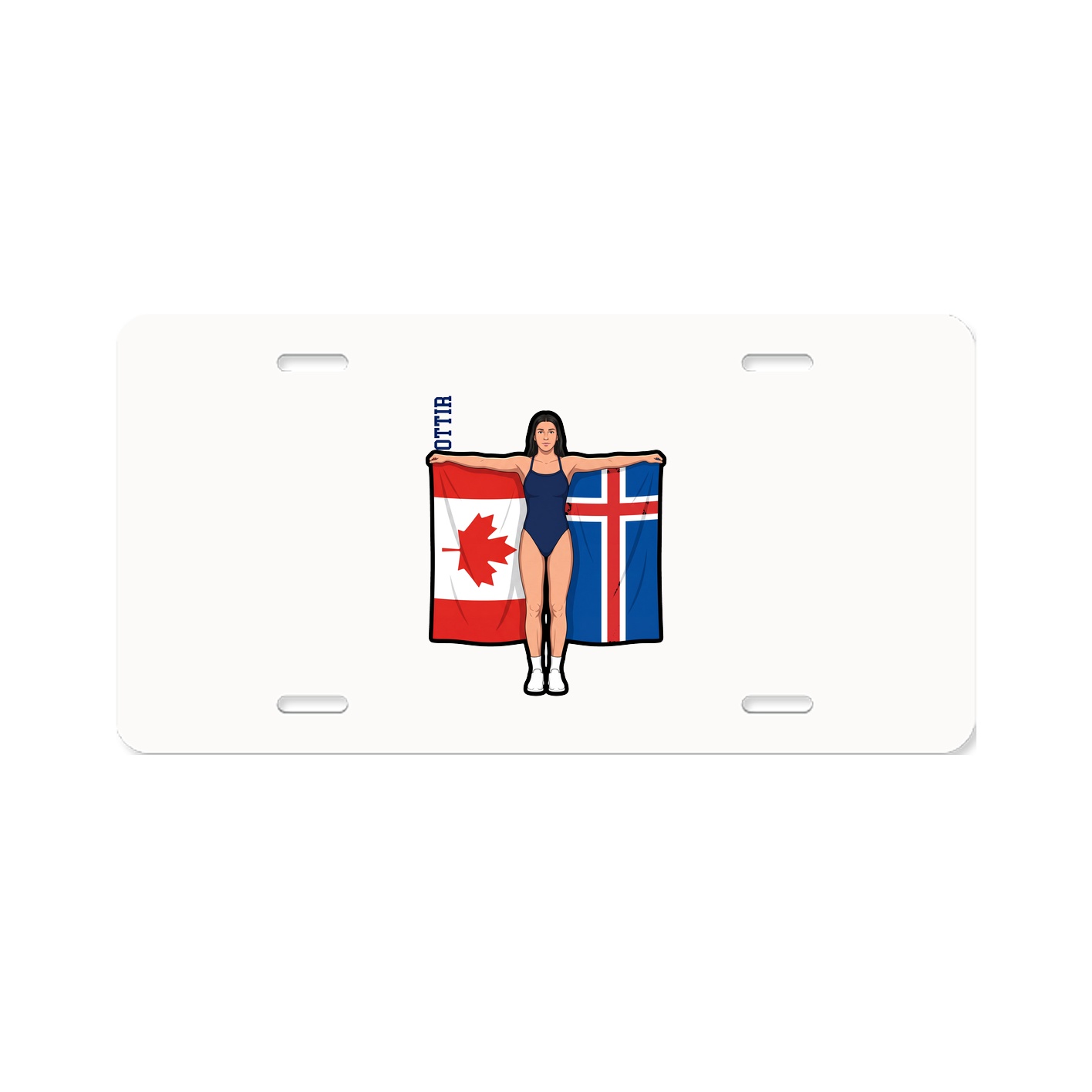 Aluminum License Plate