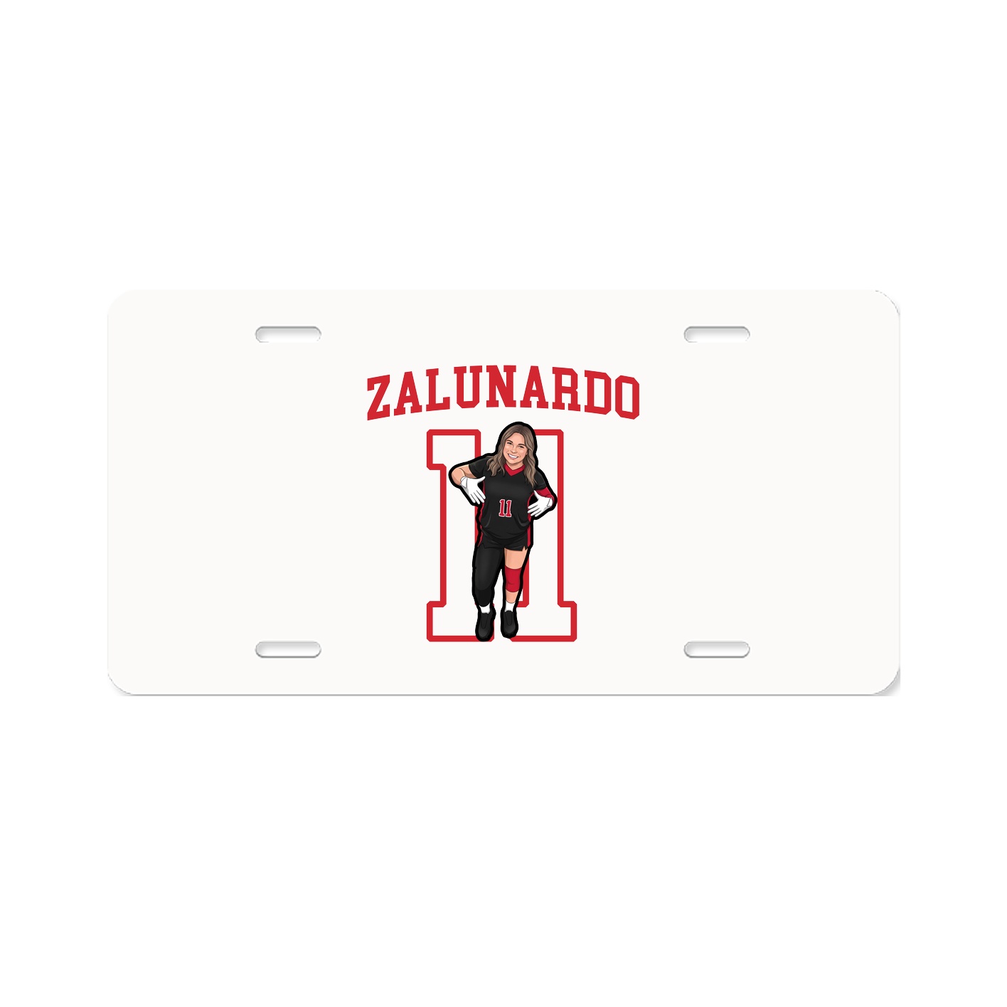 Aluminum License Plate
