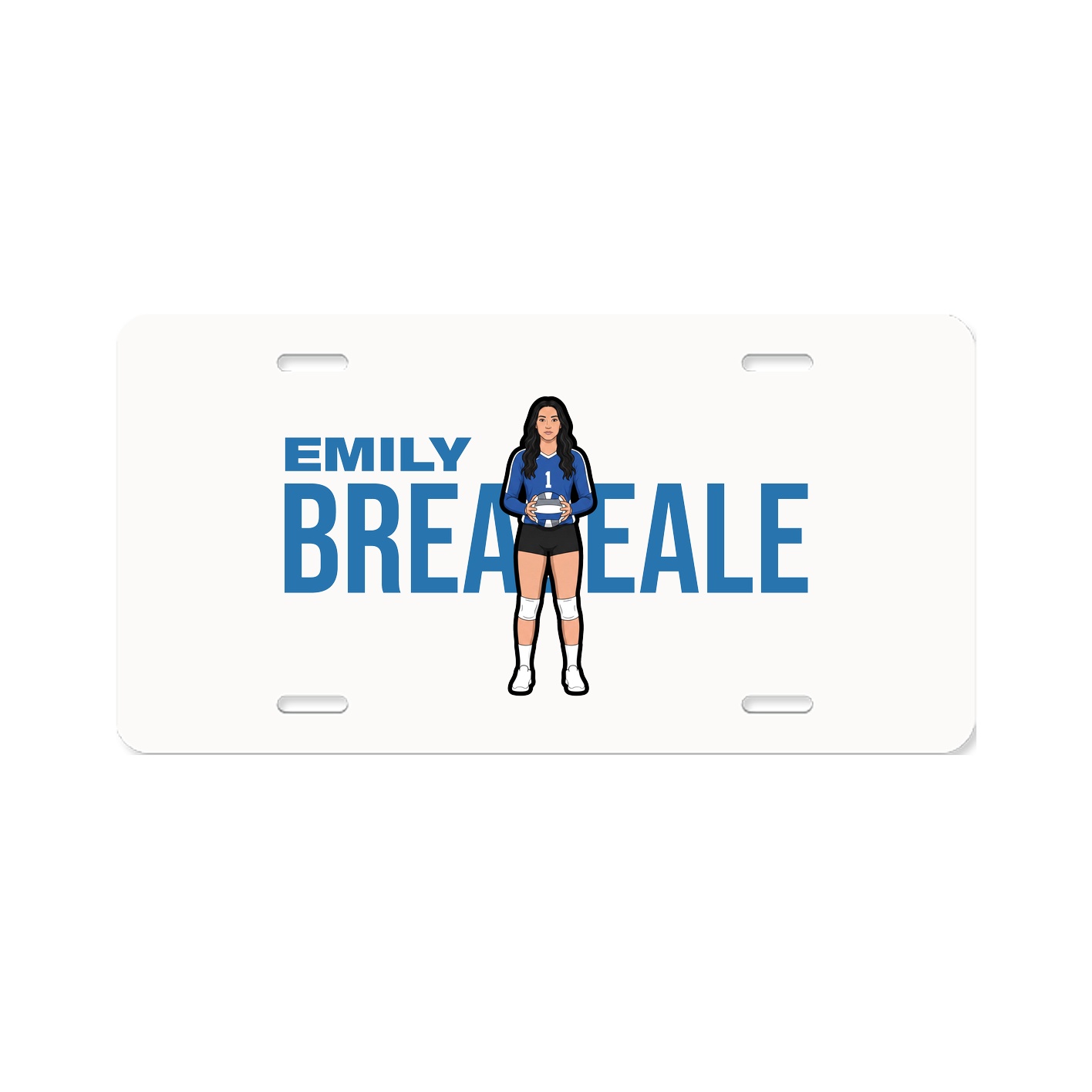 License Plate