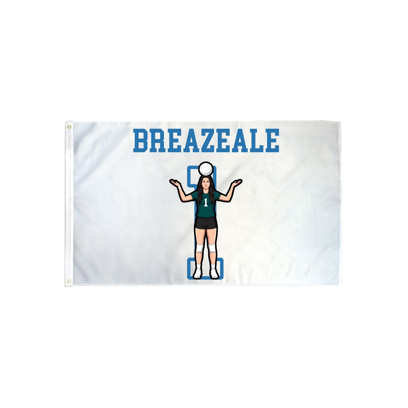 3x5 Flag — Shirsey in Classic