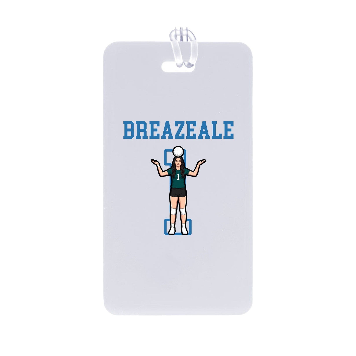 Bag Tag — Shirsey in Classic