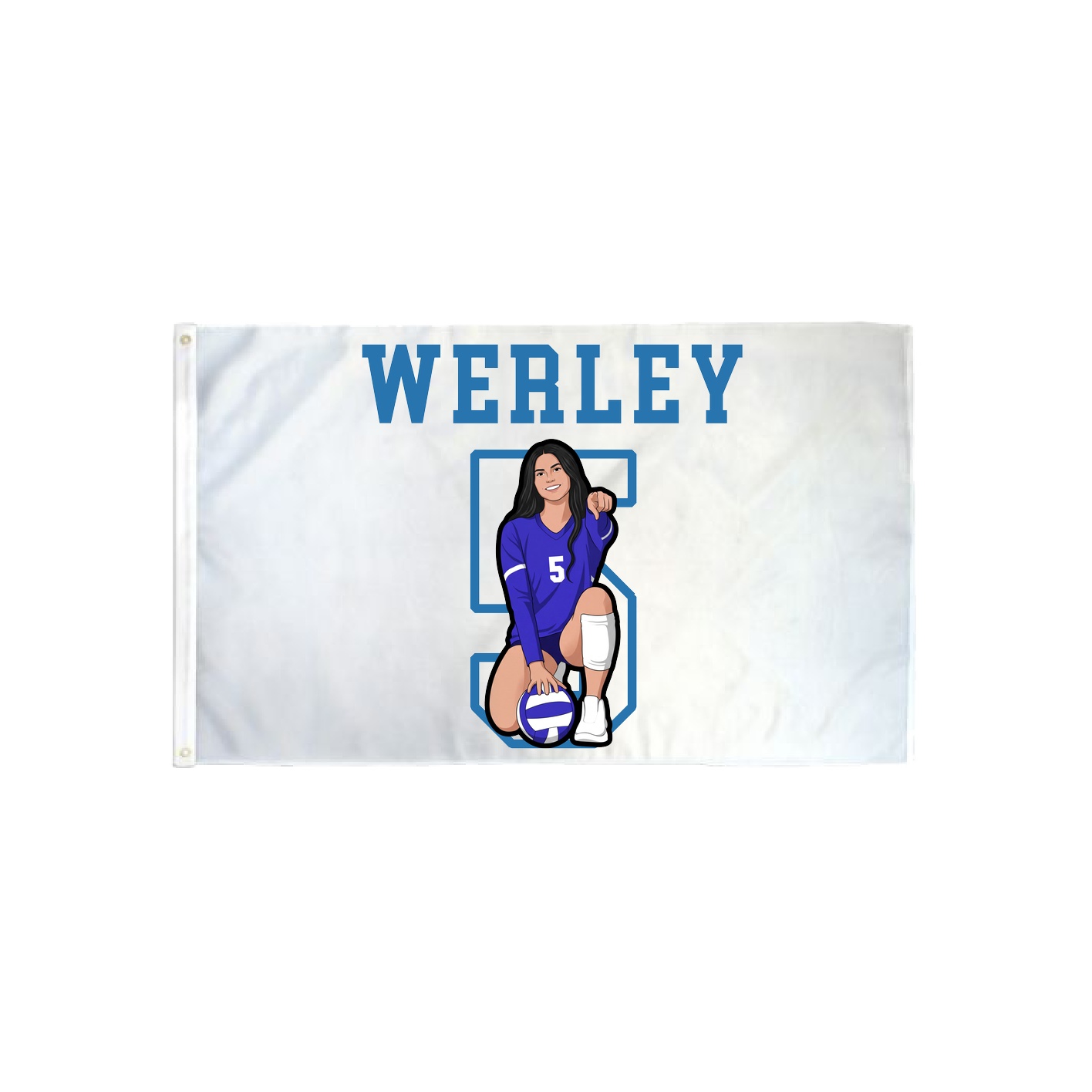 3x5 Flag — Shirsey in Classic