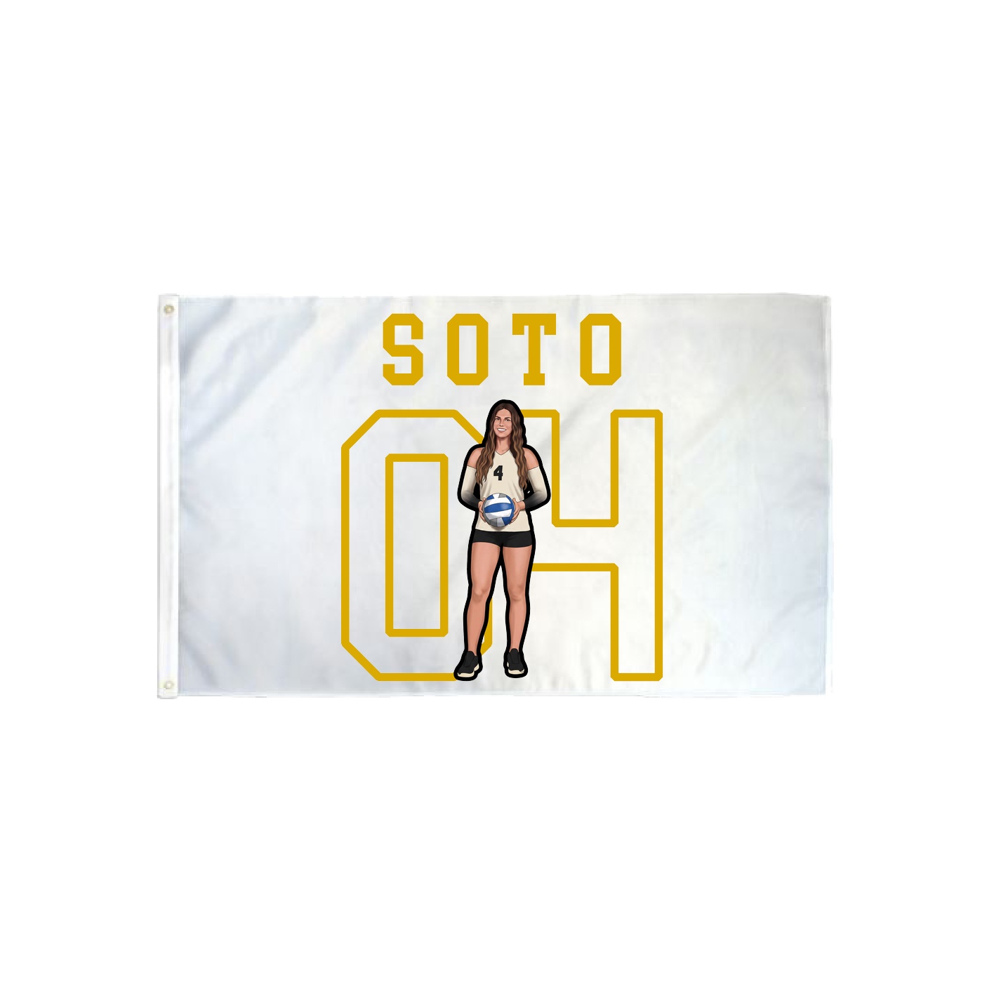 3x5 Flag — Shirsey in Classic