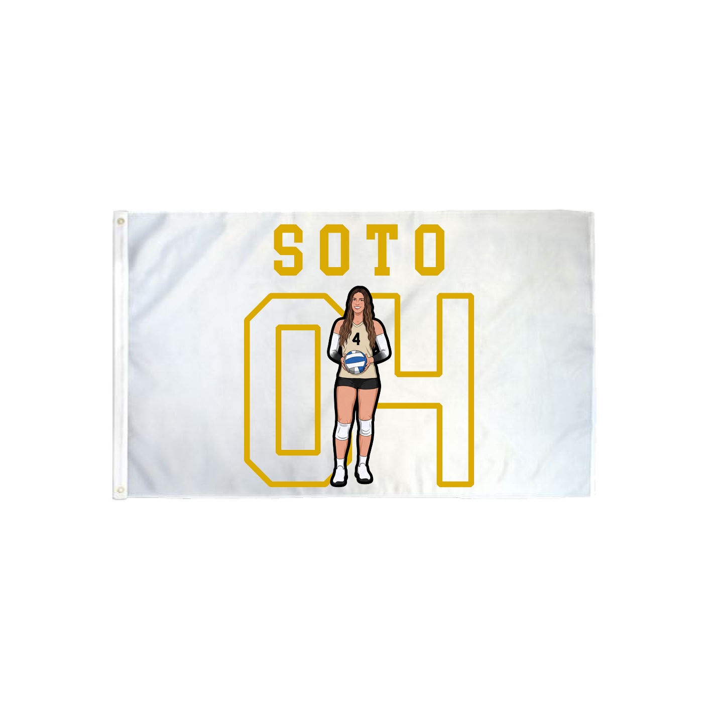 3x5 Flag — Shirsey in Classic