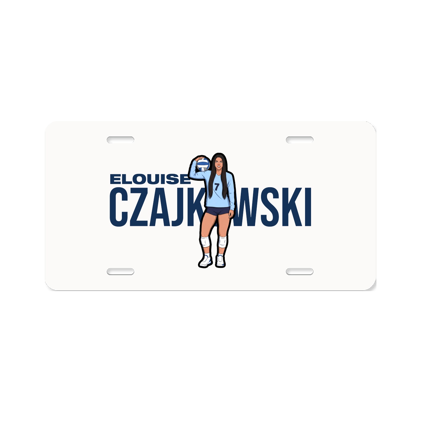 License Plate