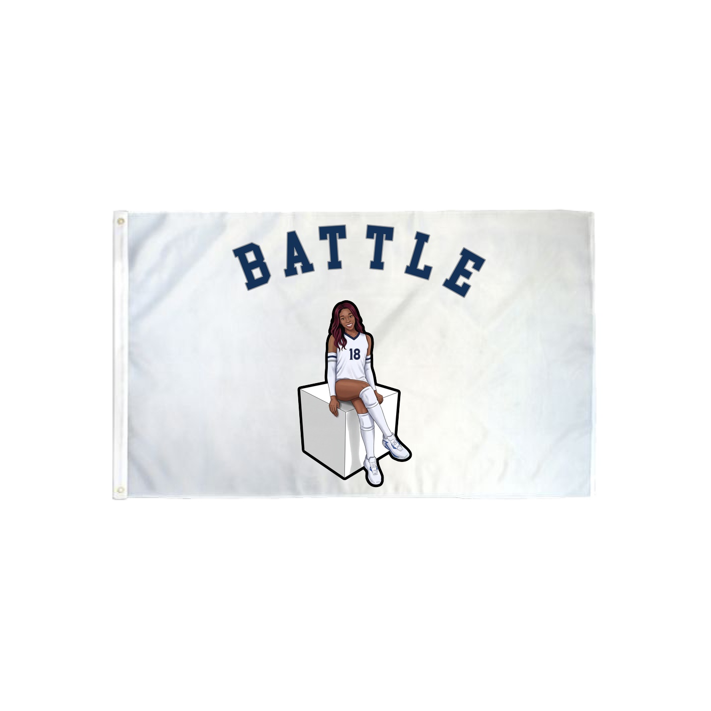 3x5 Flag — Shirsey Arch in Classic