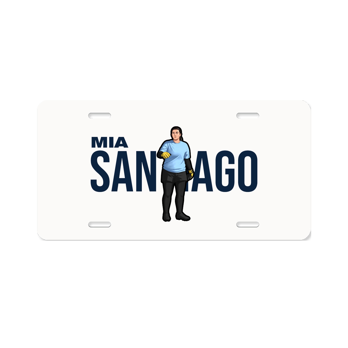 License Plate