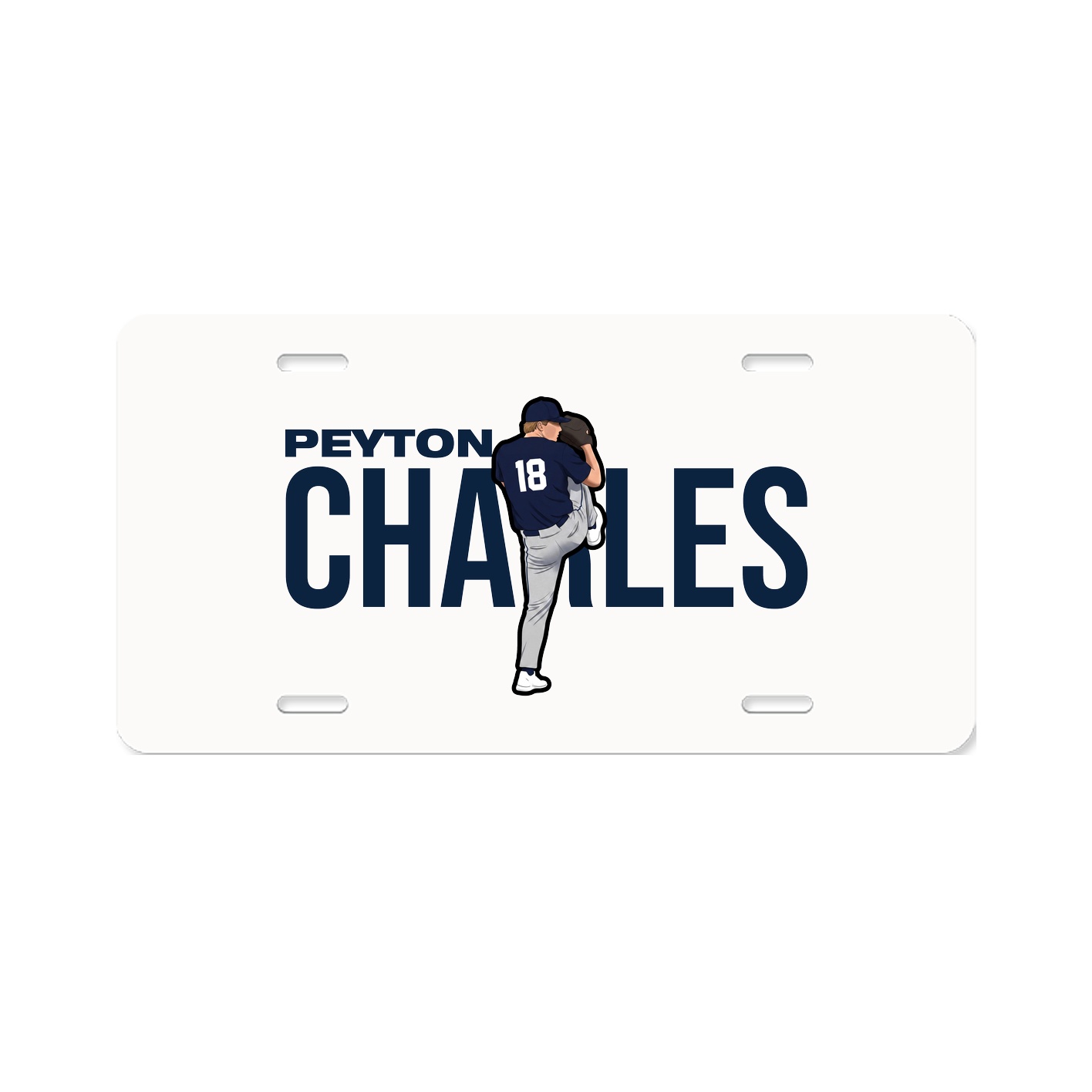 License Plate