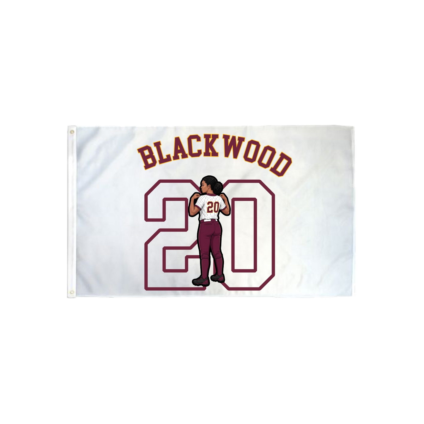 3x5 Flag — Shirsey Arch in Classic